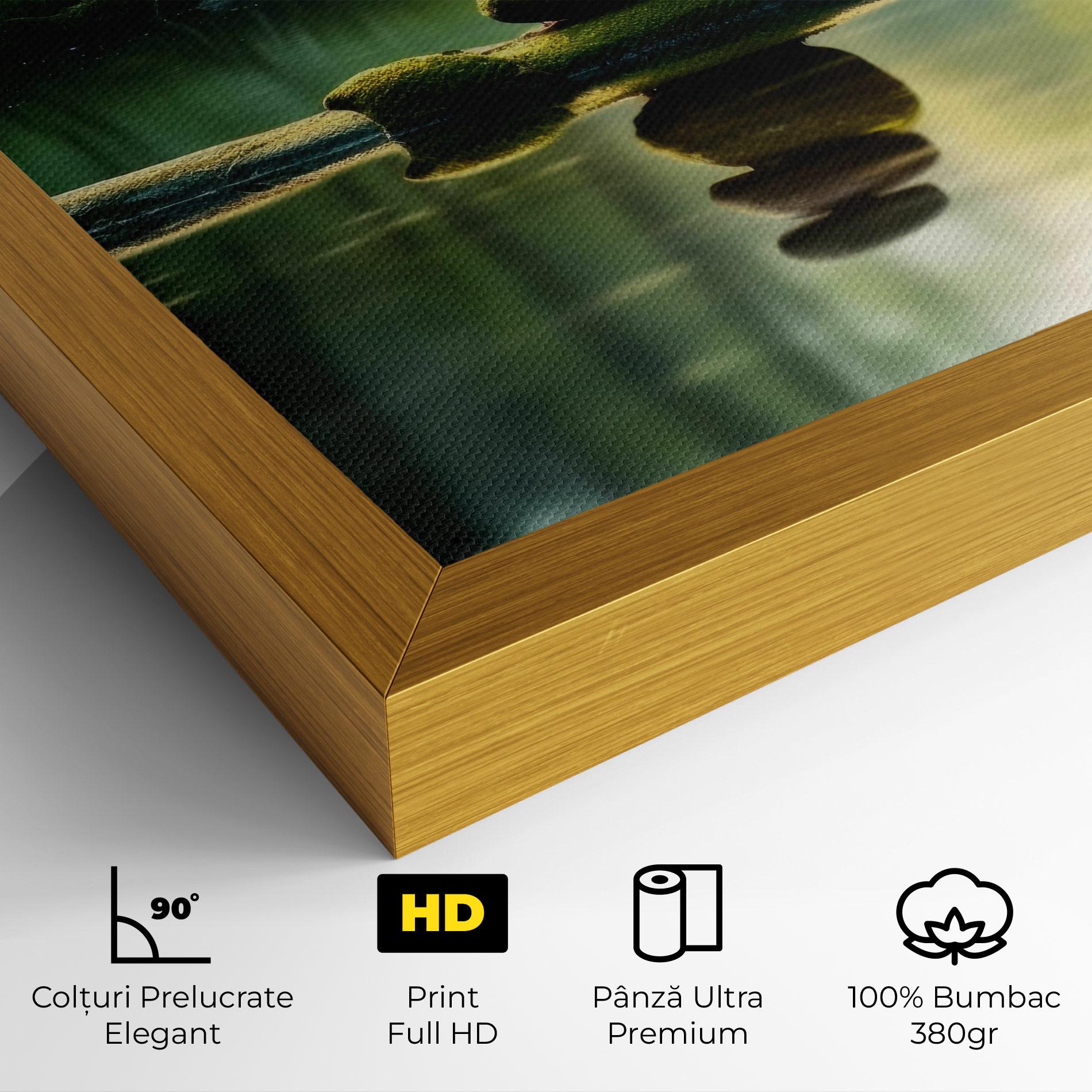 Tablou Canvas Spiritual Stones mockup 4