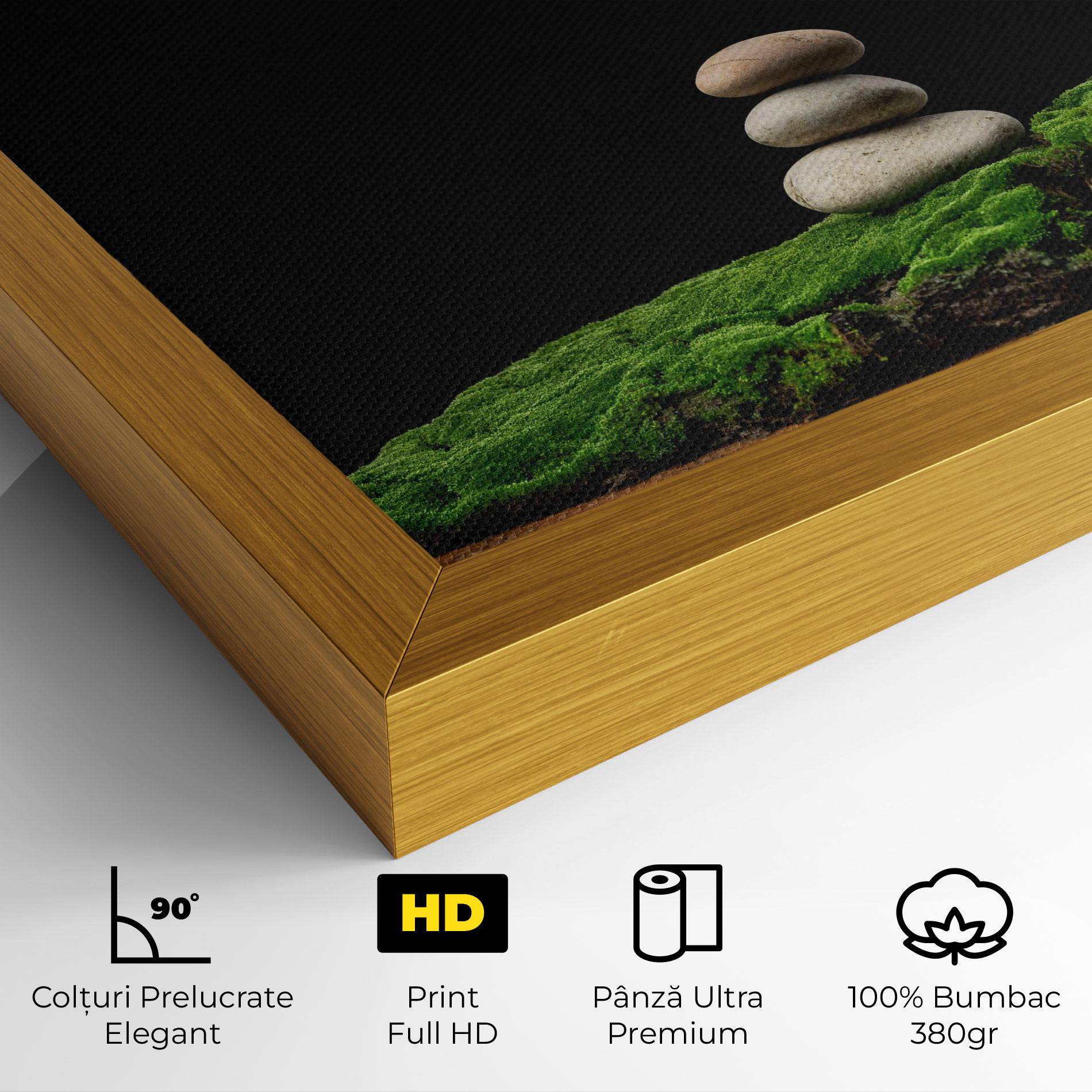 Tablou Canvas Three Stone Moss mockup 4