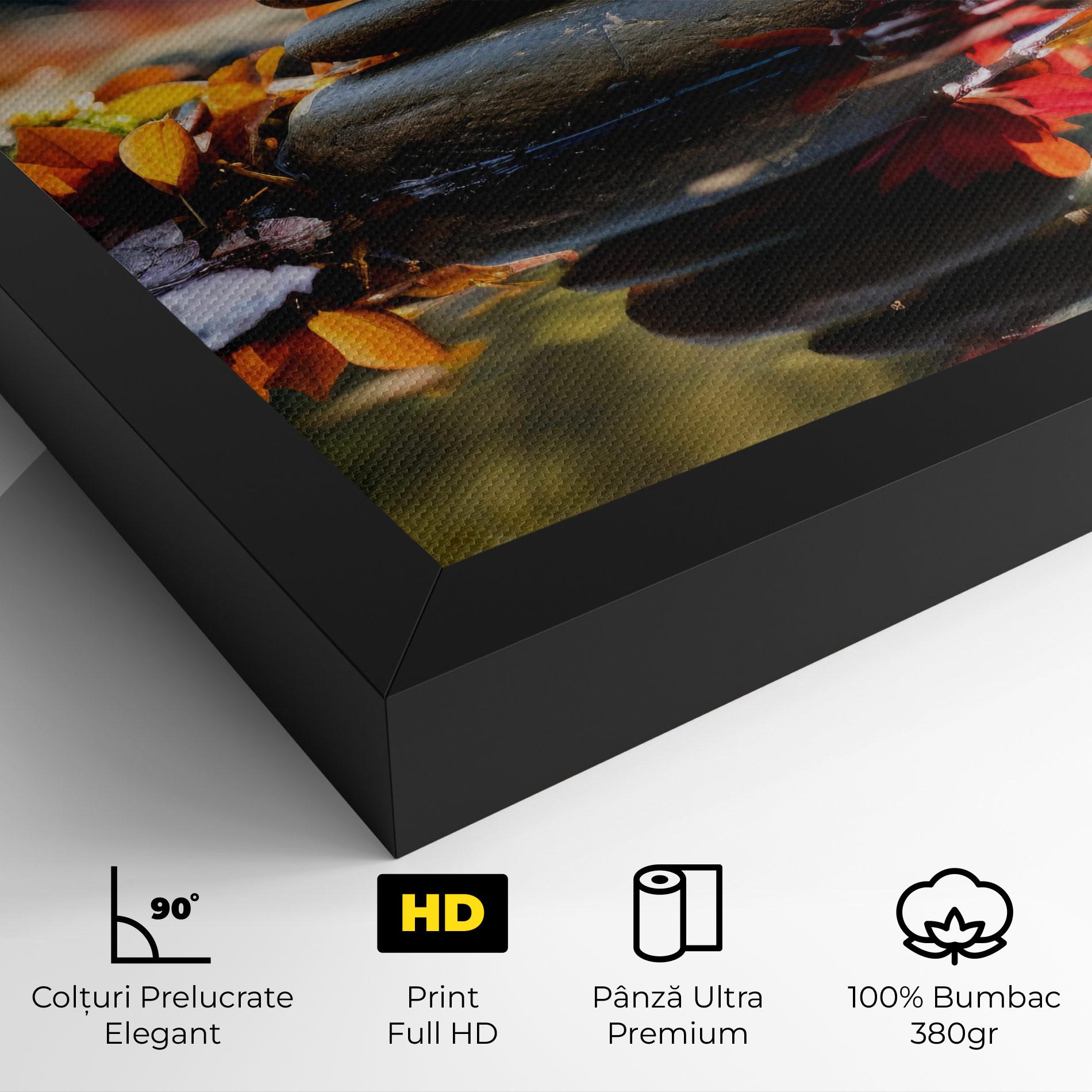 Tablou Canvas Autumn Stones mockup 4