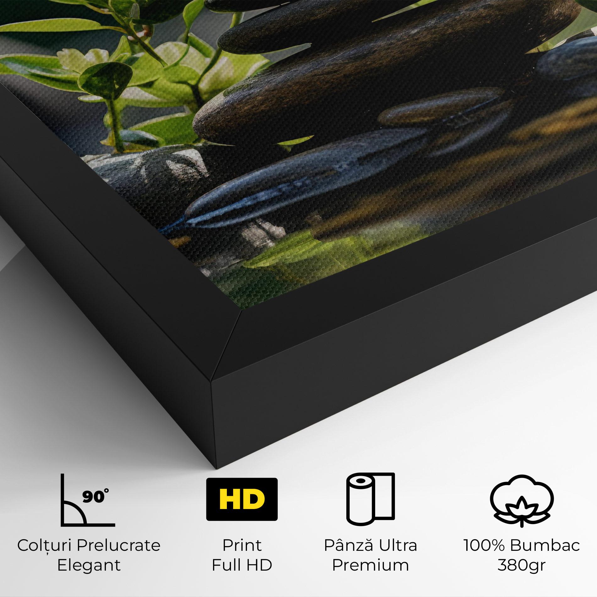 Tablou Canvas Cinematic Stones mockup 4