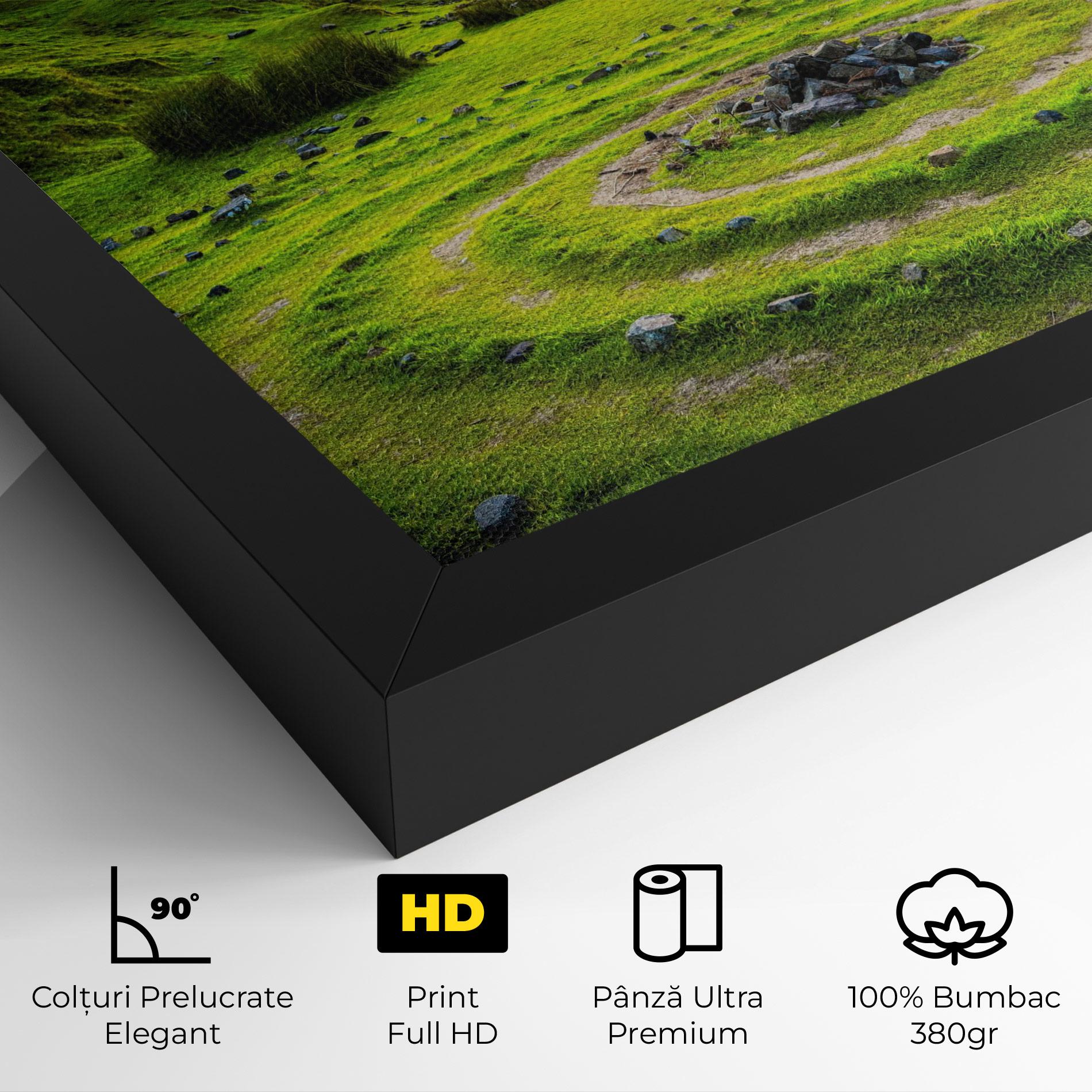 Tablou Canvas Green Circle Nature mockup 4