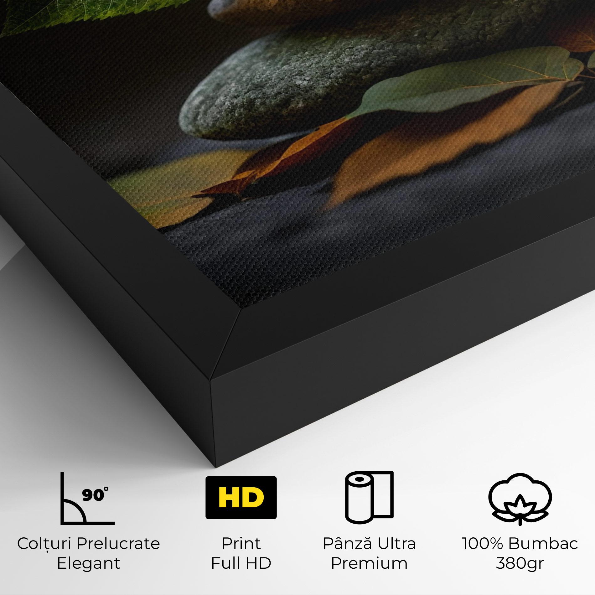 Tablou Canvas Harmony Stones mockup 4