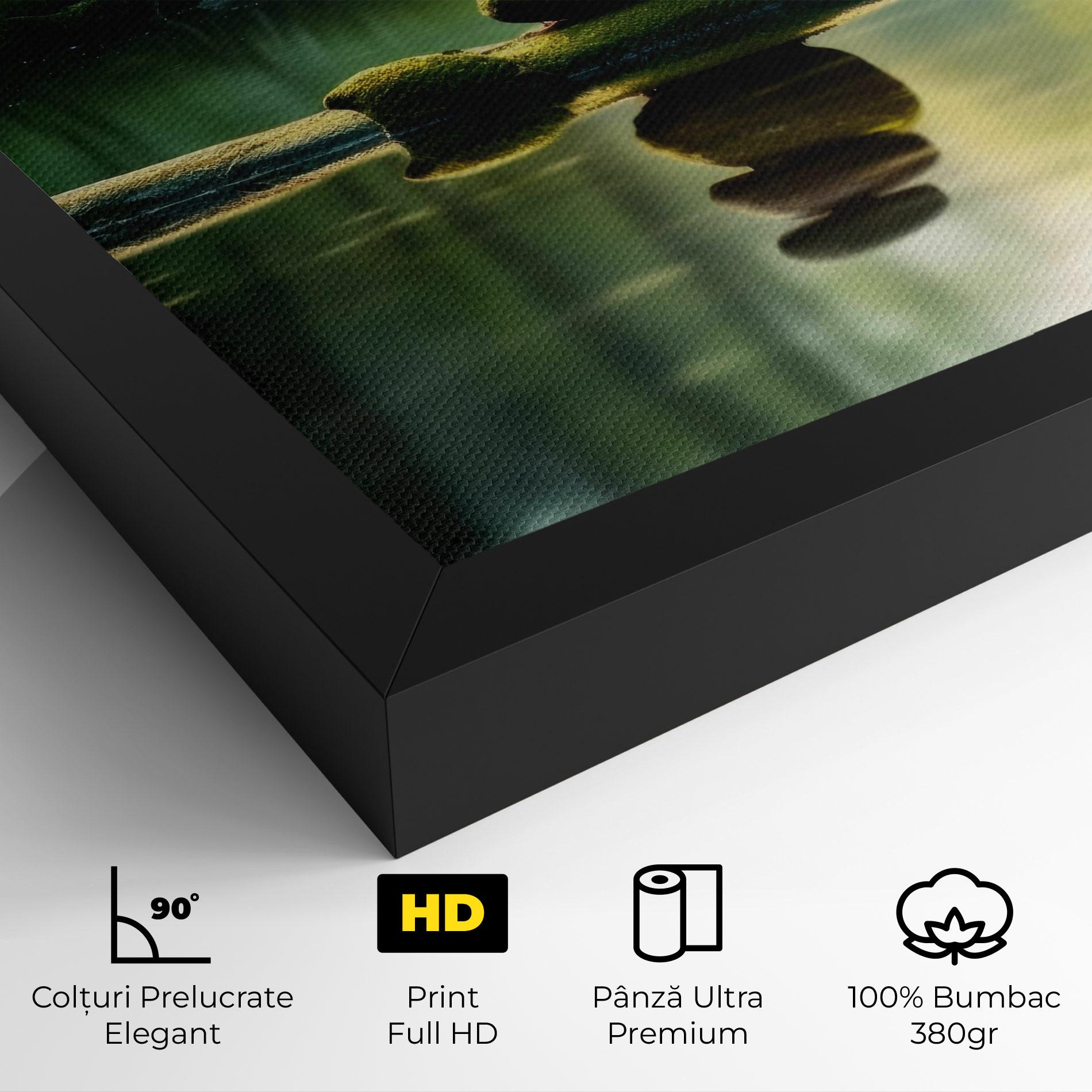 Tablou Canvas Spiritual Stones mockup 4