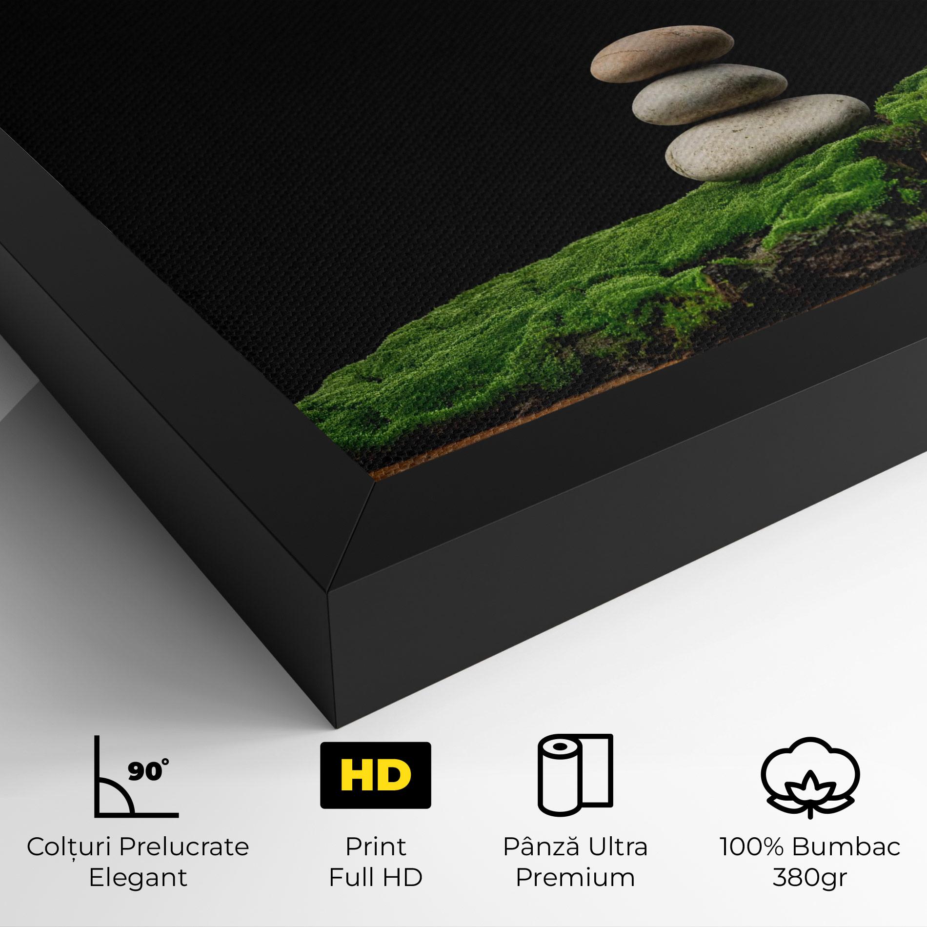 Tablou Canvas Three Stone Moss mockup 4