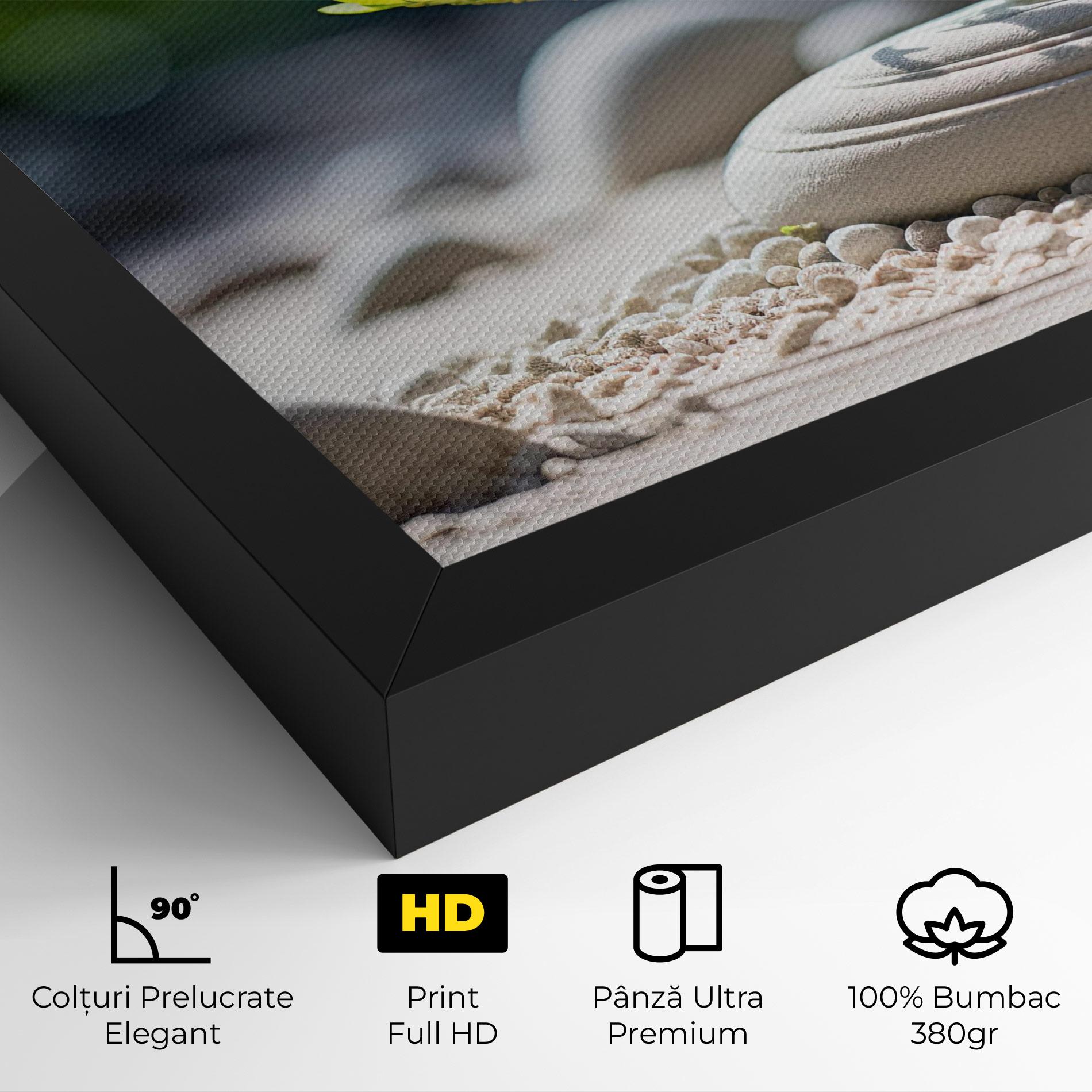 Tablou Canvas White Pebbles Plants mockup 4