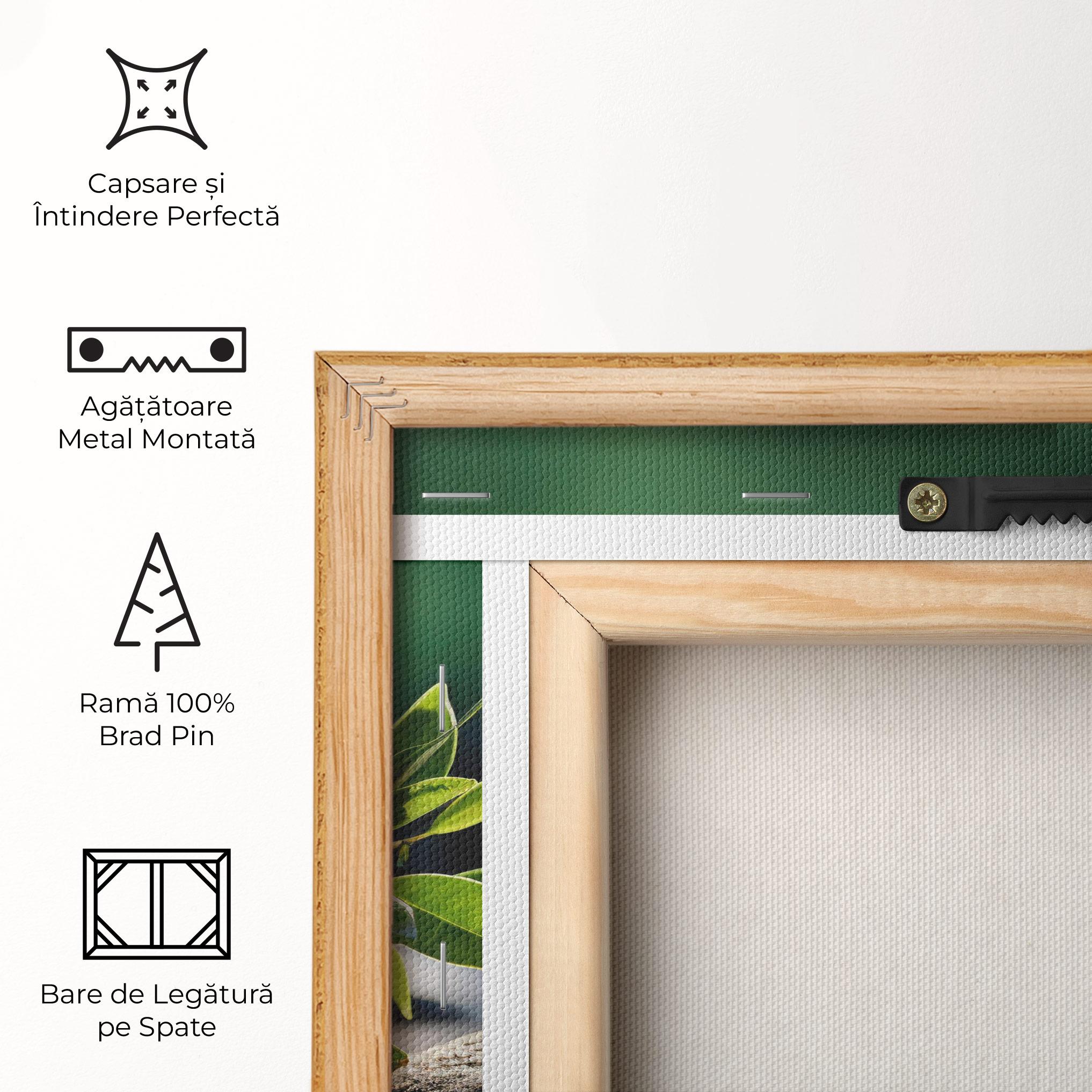 Tablou Canvas Cinematic Stones mockup 5