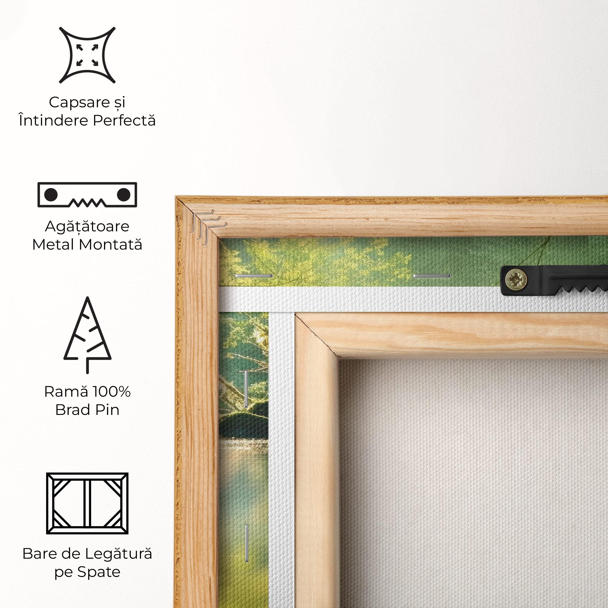 Tablou Canvas Spiritual Stones mockup 5