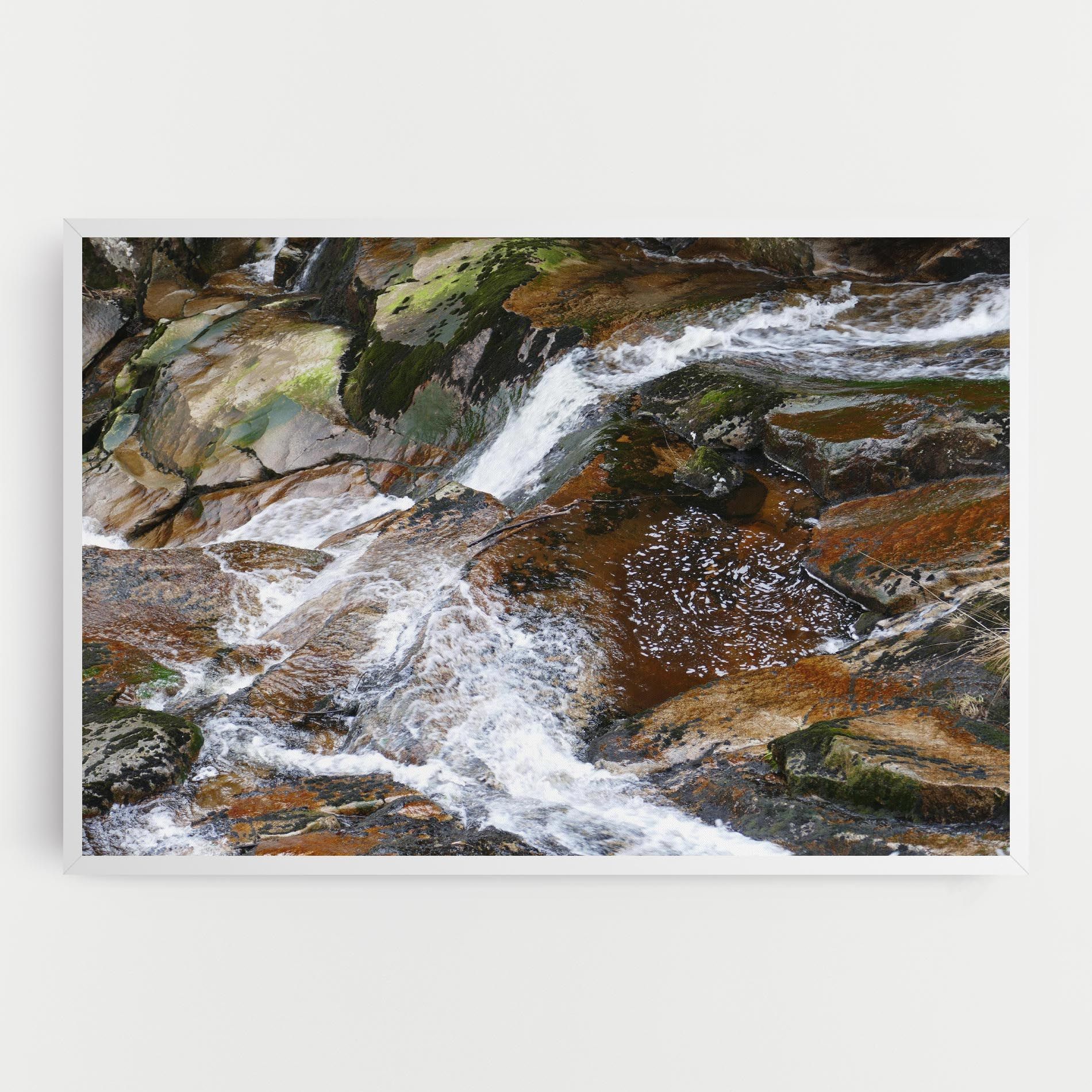 Forest Peace mockup 0