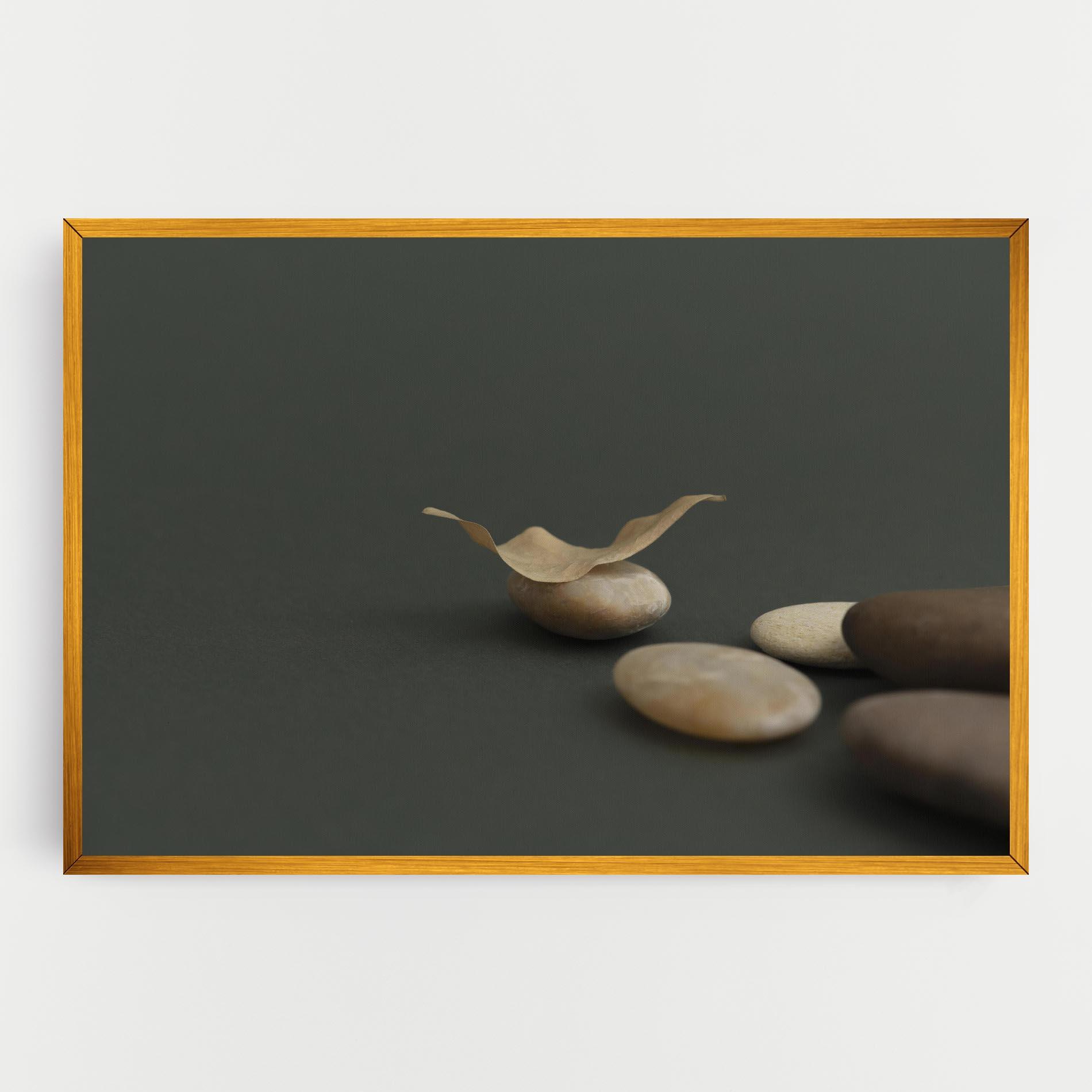 Tablou Canvas Zen Stones On Green mockup 0