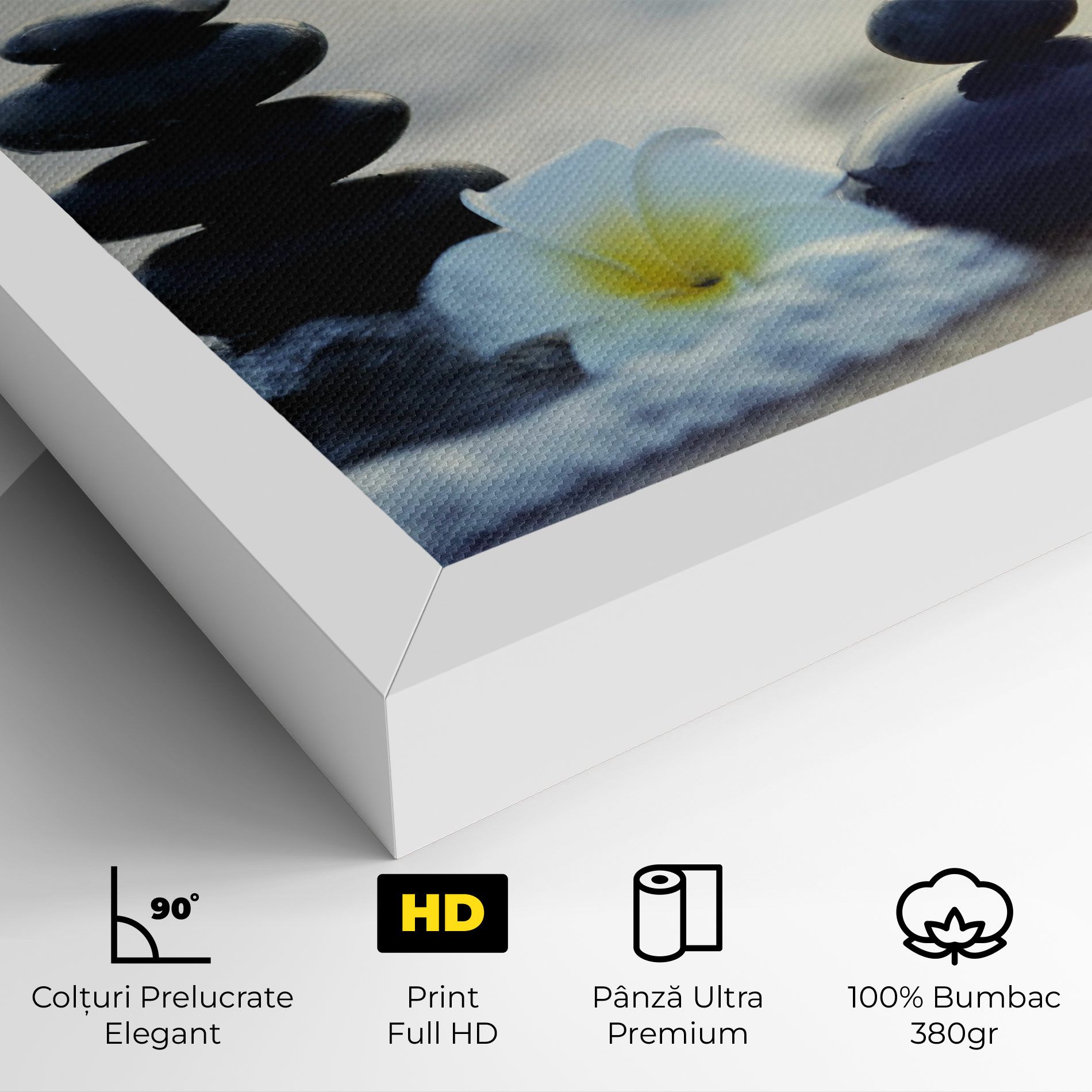 Flower Sea Flower mockup 4