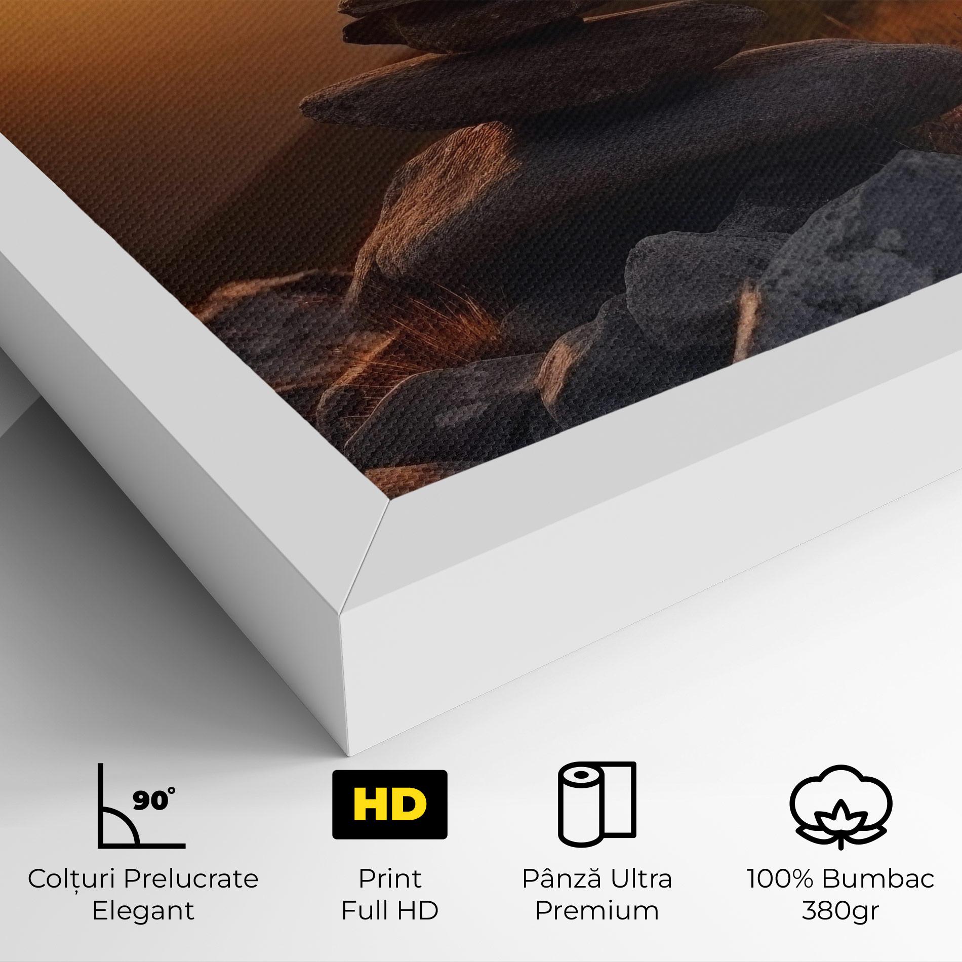 Tablou Canvas Nature Sunset Stones mockup 4