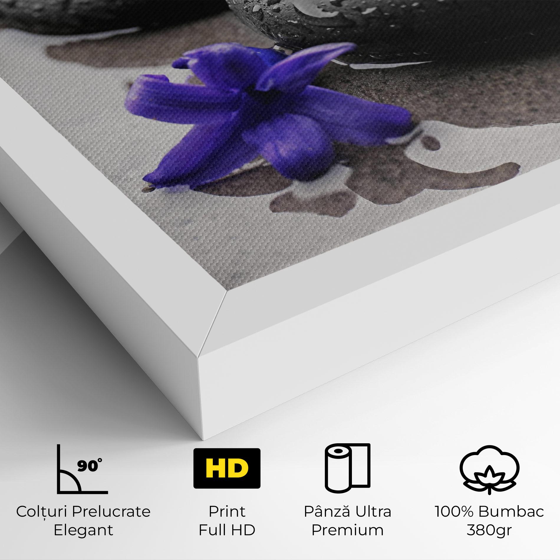 Tablou Canvas Spa Purple Rock mockup 4