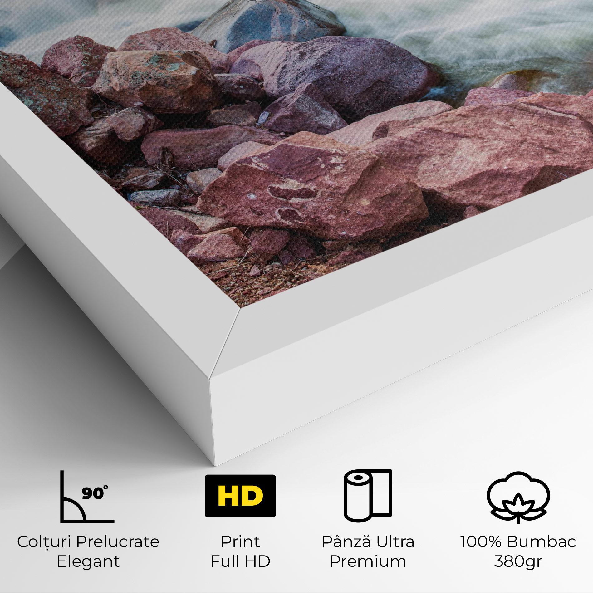 Tablou Canvas Spring Water Rocks mockup 4