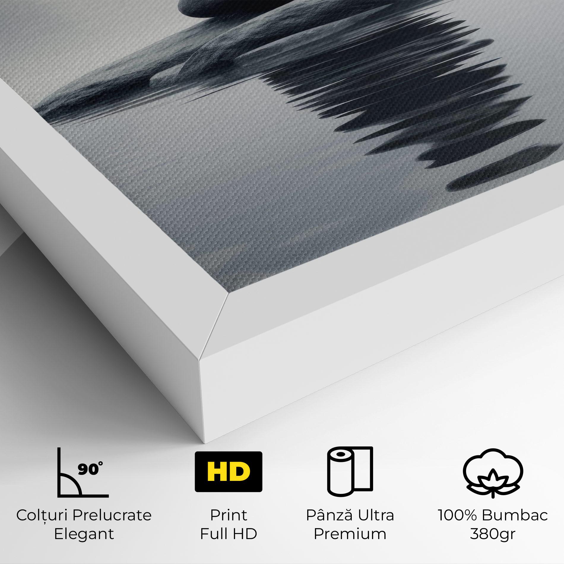 Tablou Canvas Stones Foggy View mockup 4