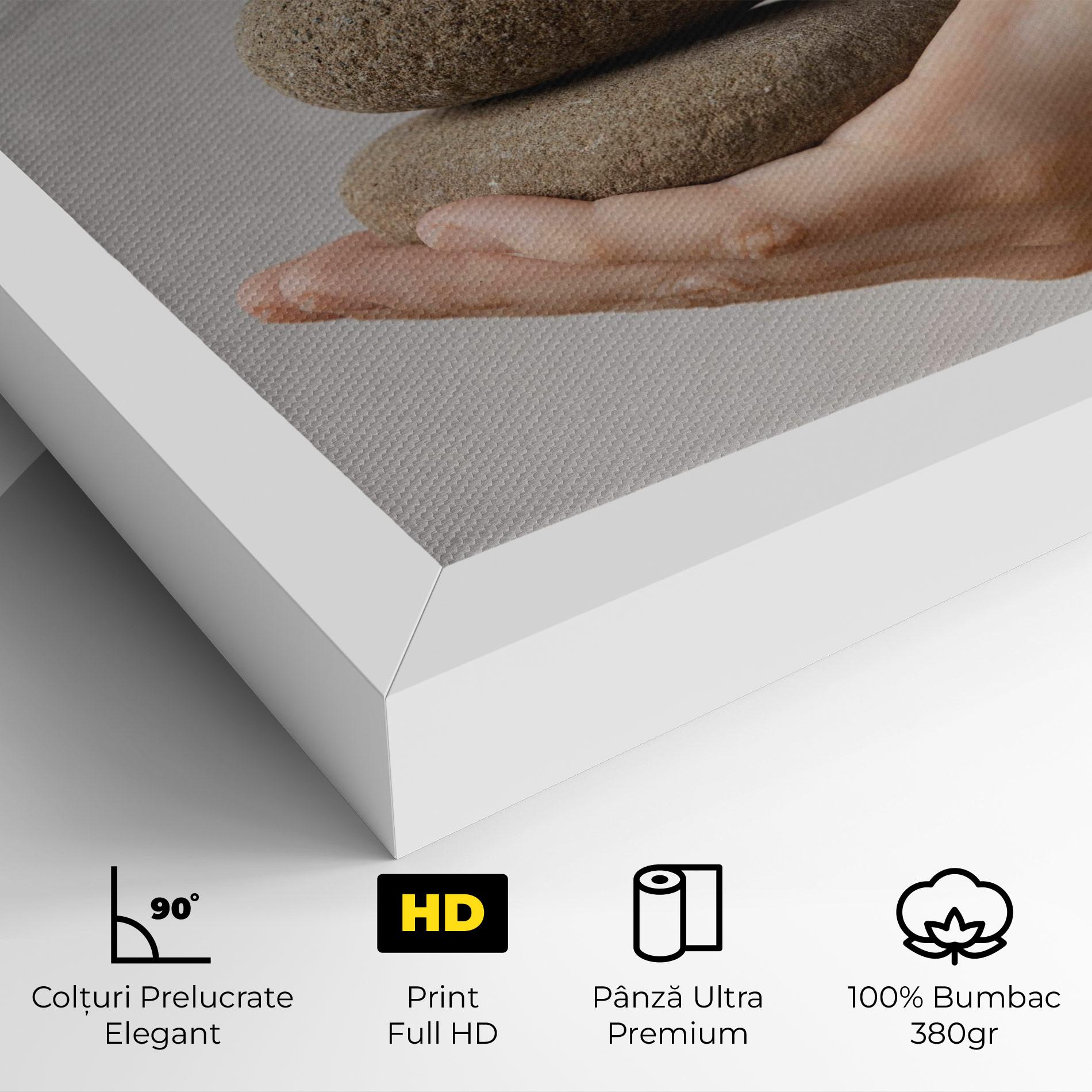 Tablou Canvas Stones Meditation mockup 4