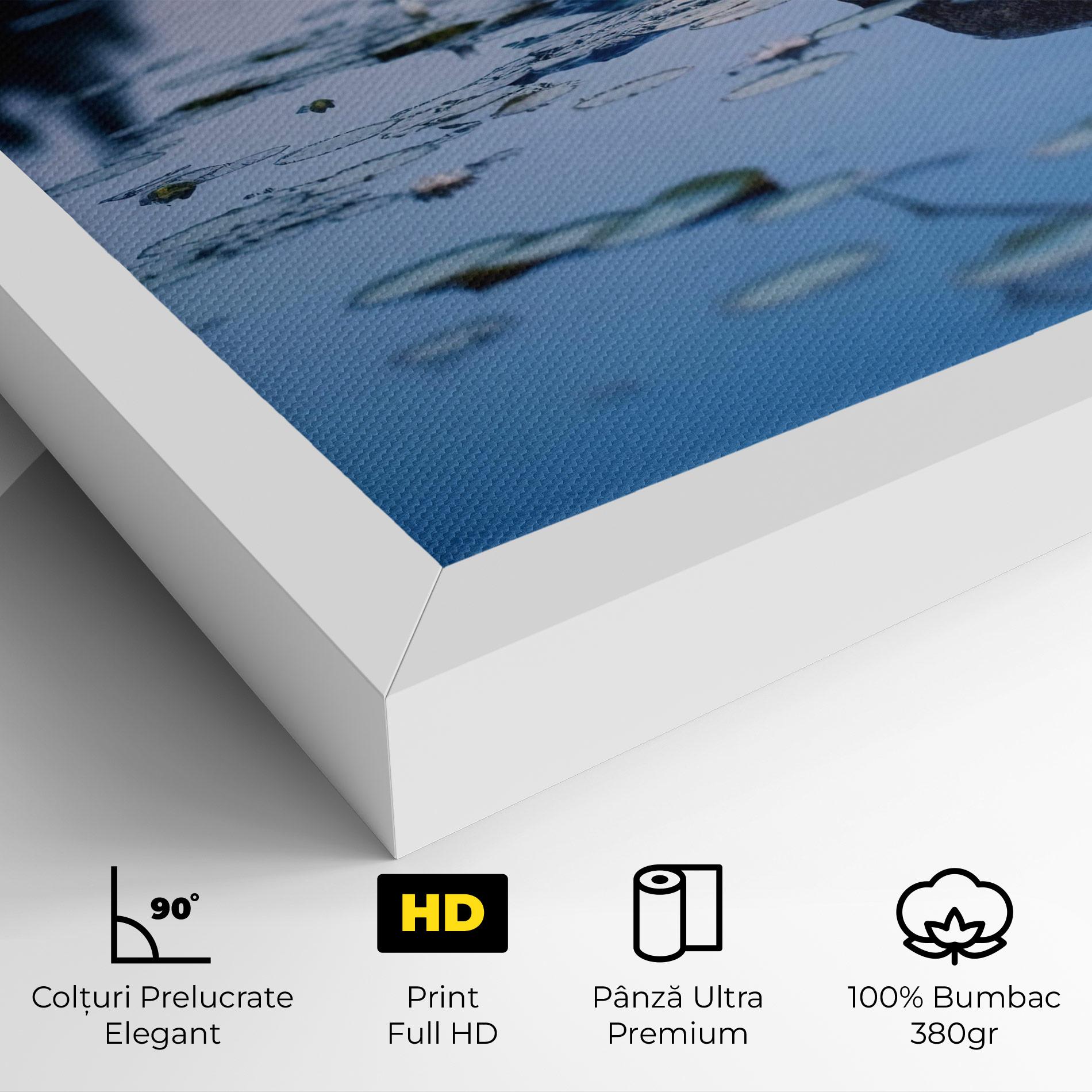 Tablou Canvas Water Stones mockup 4