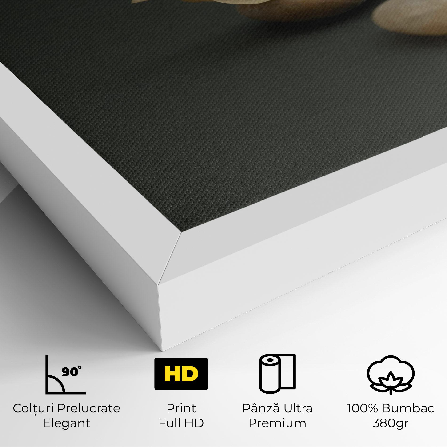 Tablou Canvas Zen Stones On Green mockup 4