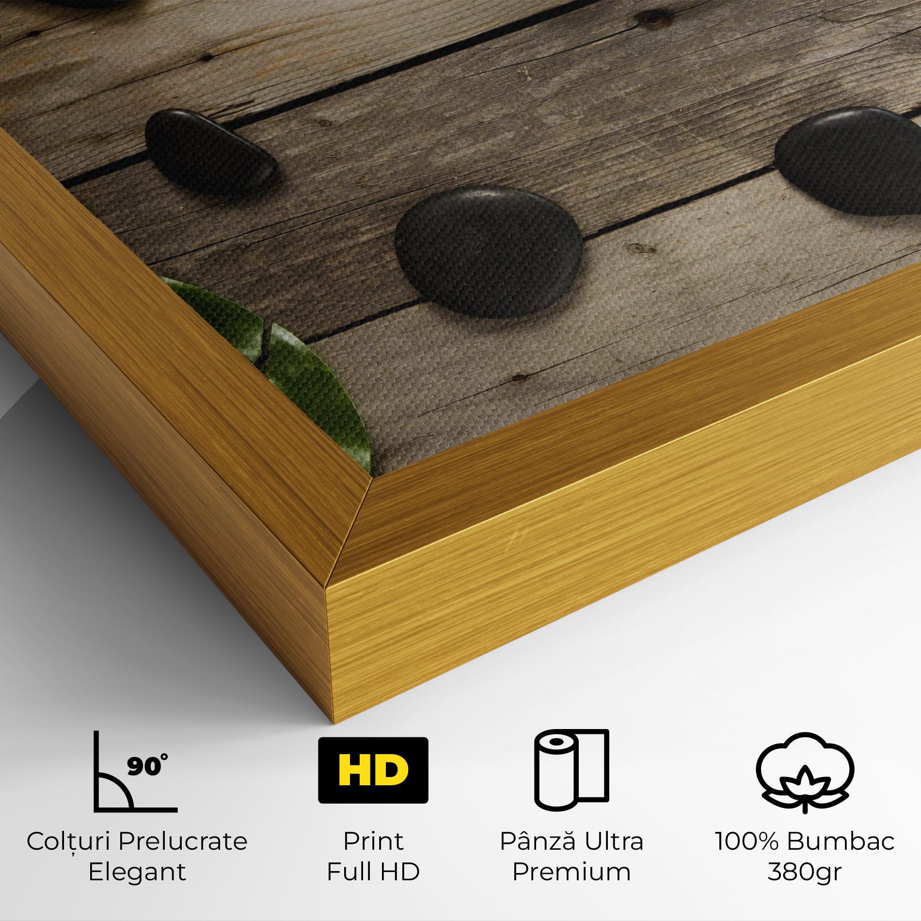 Tablou Canvas Cotton Flowers Stones mockup 4