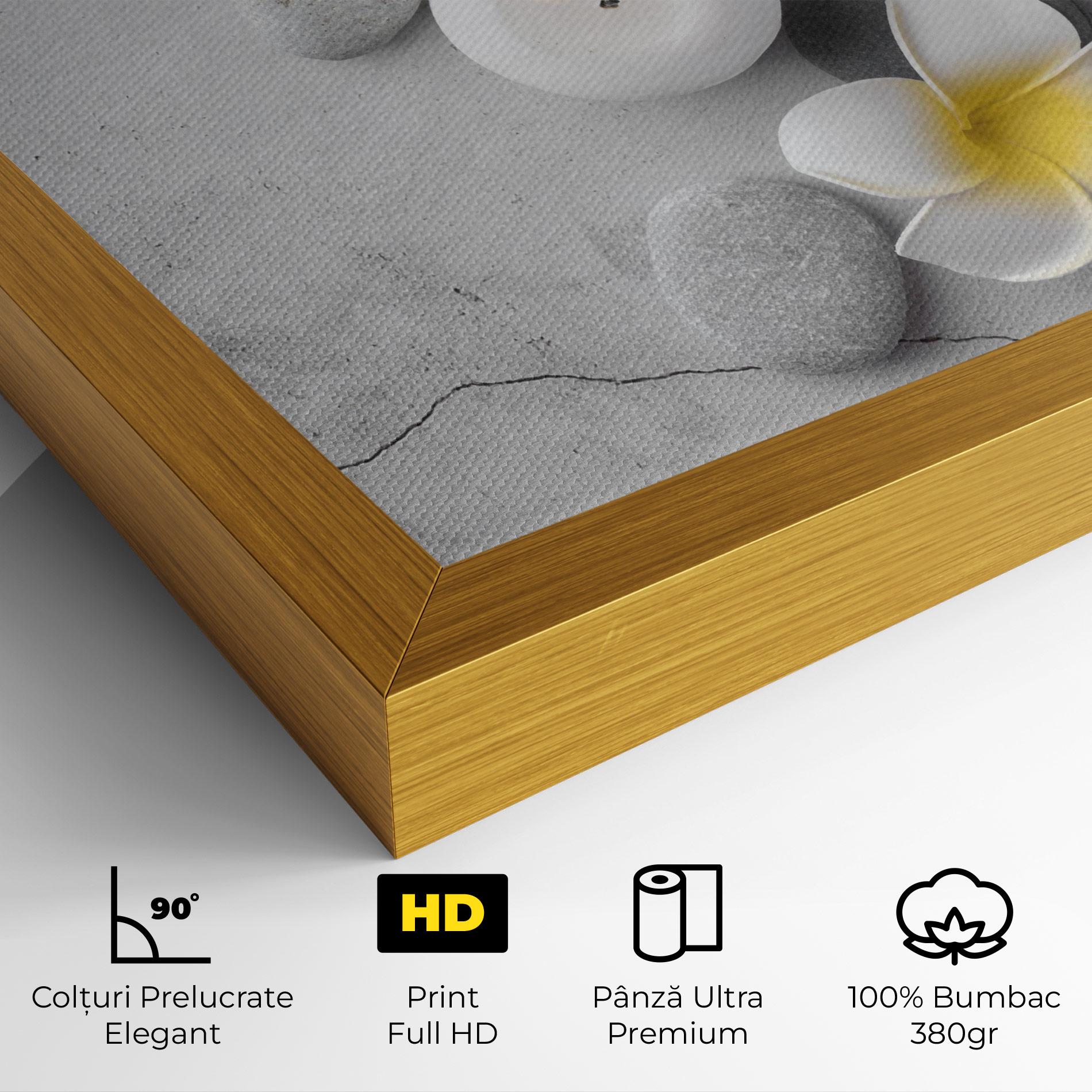 Tablou Canvas Feng Shui Stones mockup 4