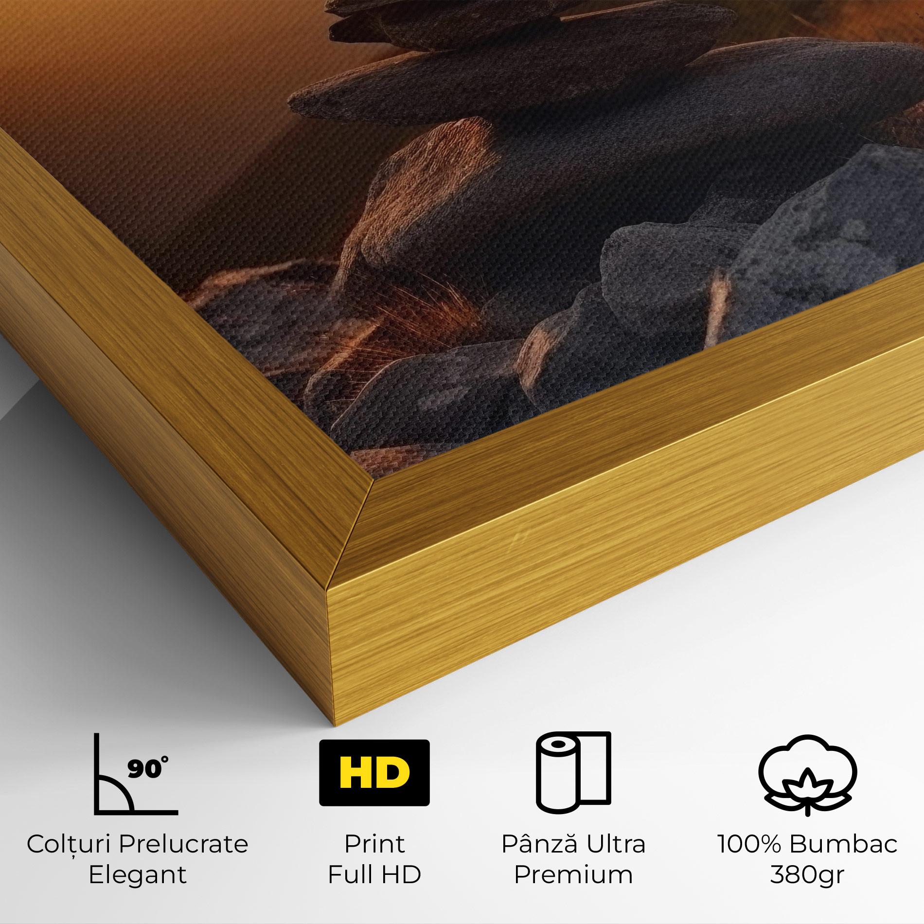 Tablou Canvas Nature Sunset Stones mockup 4