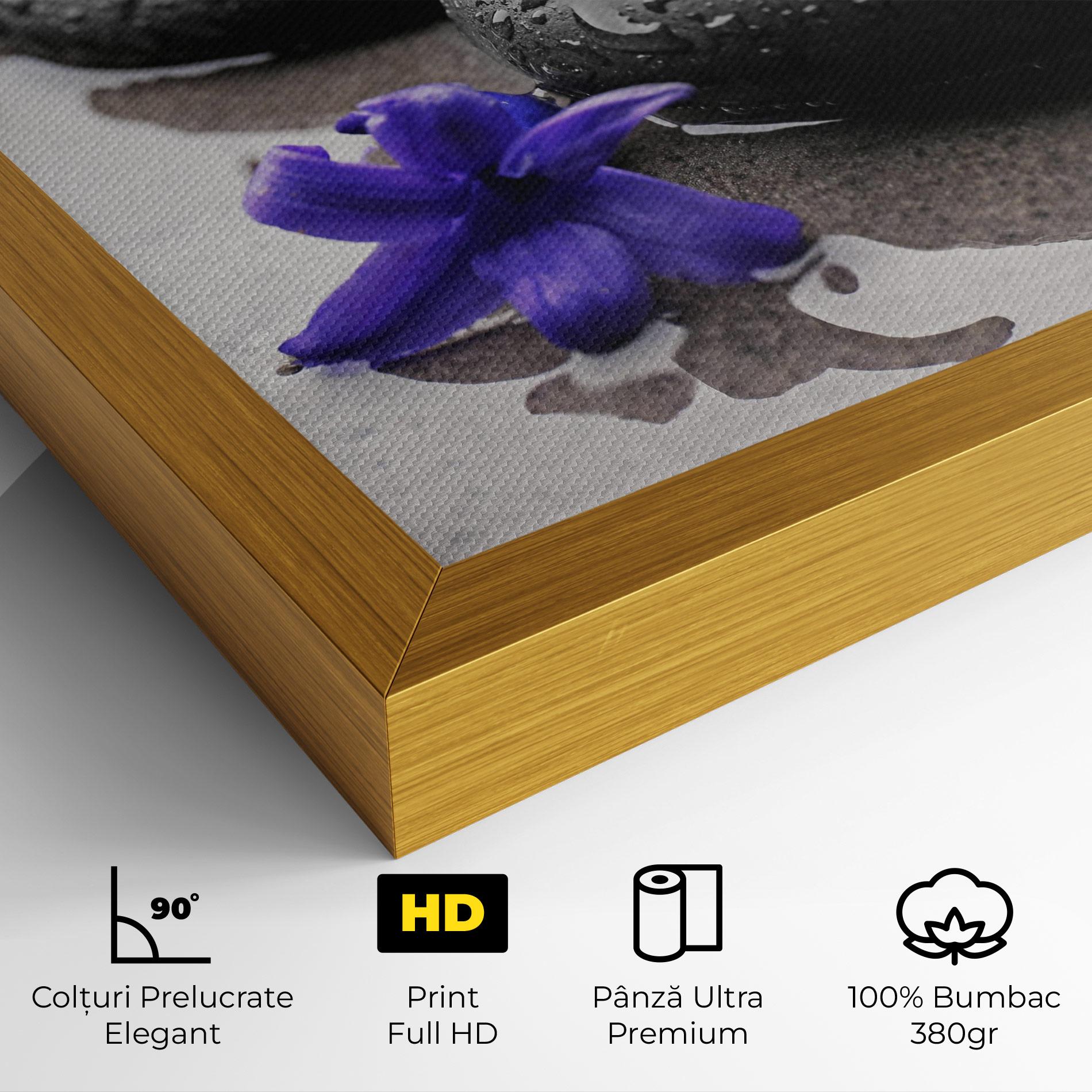Tablou Canvas Spa Purple Rock mockup 4