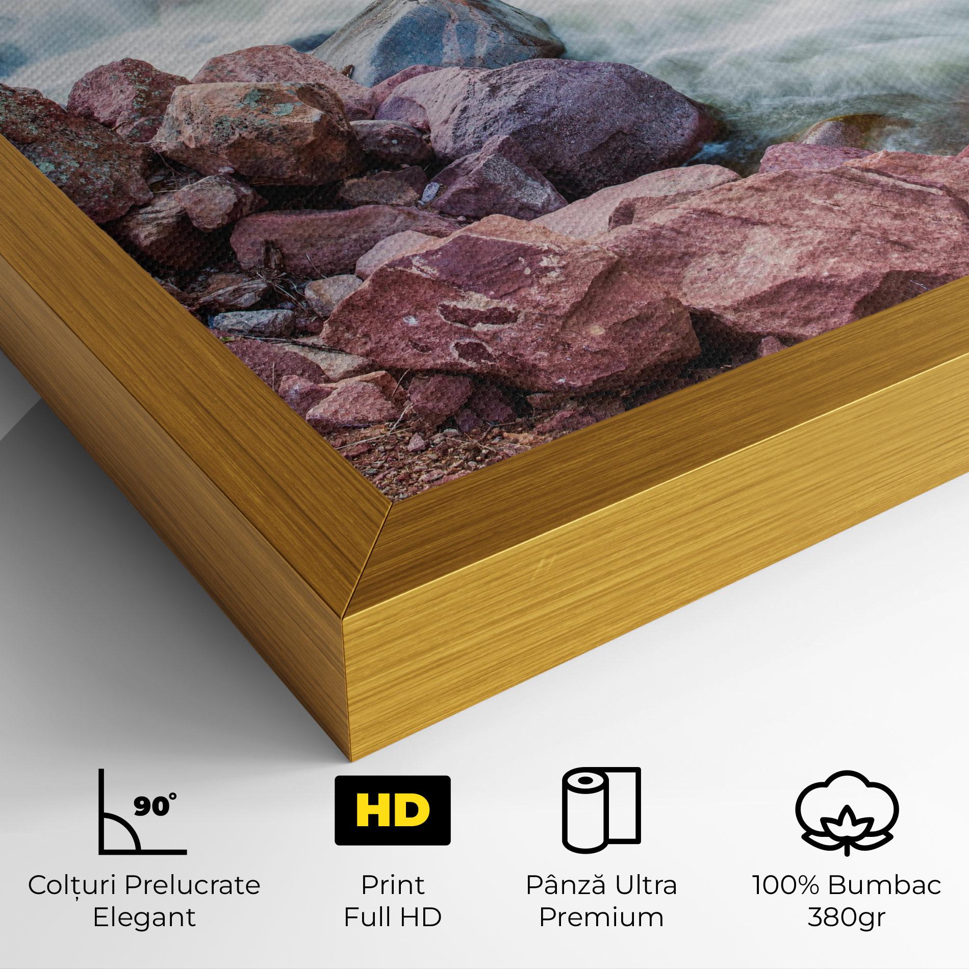 Tablou Canvas Spring Water Rocks mockup 4