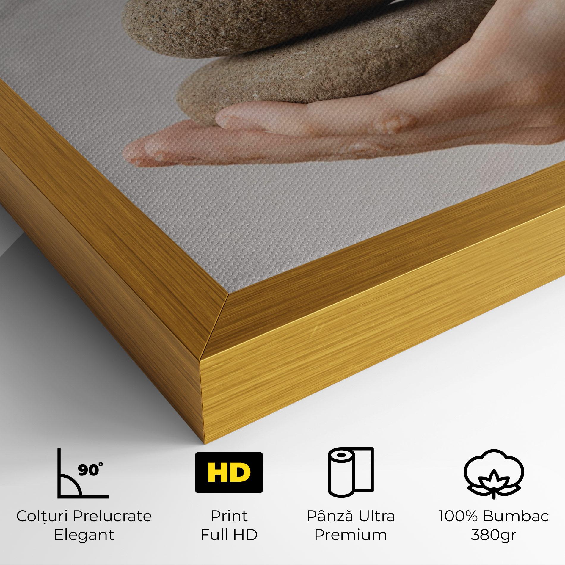 Tablou Canvas Stones Meditation mockup 4
