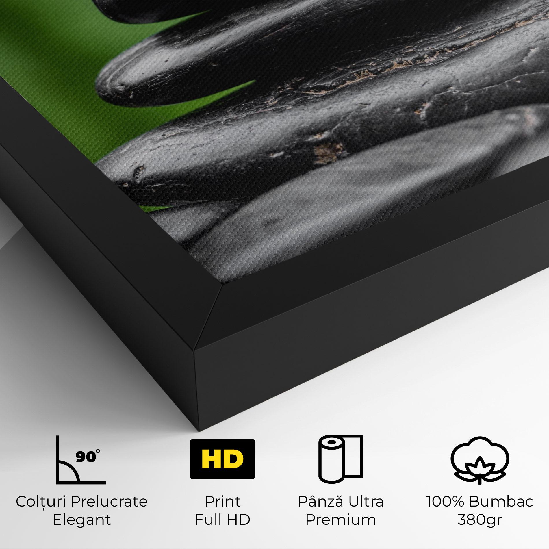 Tablou Canvas Black Stone Meditation mockup 4
