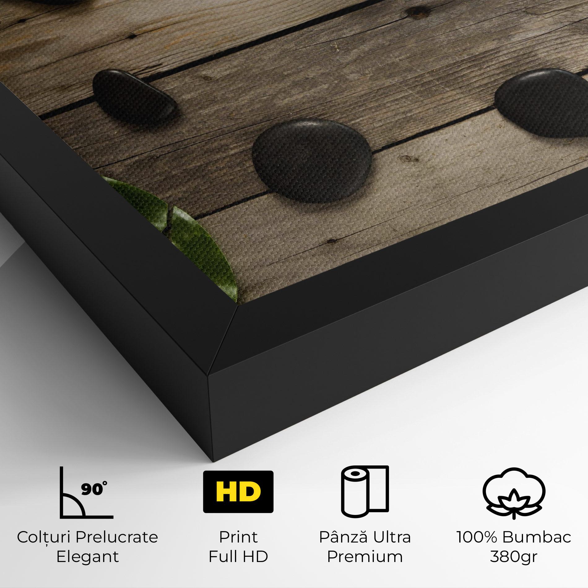 Tablou Canvas Cotton Flowers Stones mockup 4