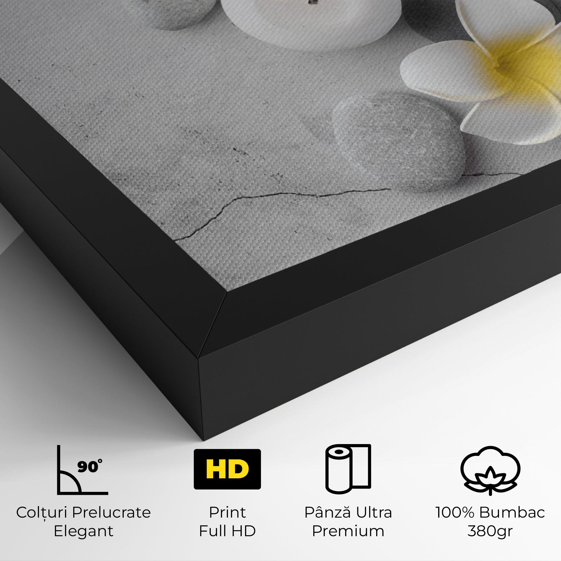 Tablou Canvas Feng Shui Stones mockup 4