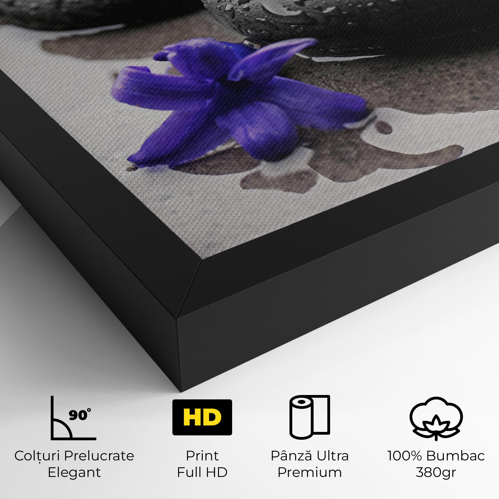 Tablou Canvas Spa Purple Rock mockup 4