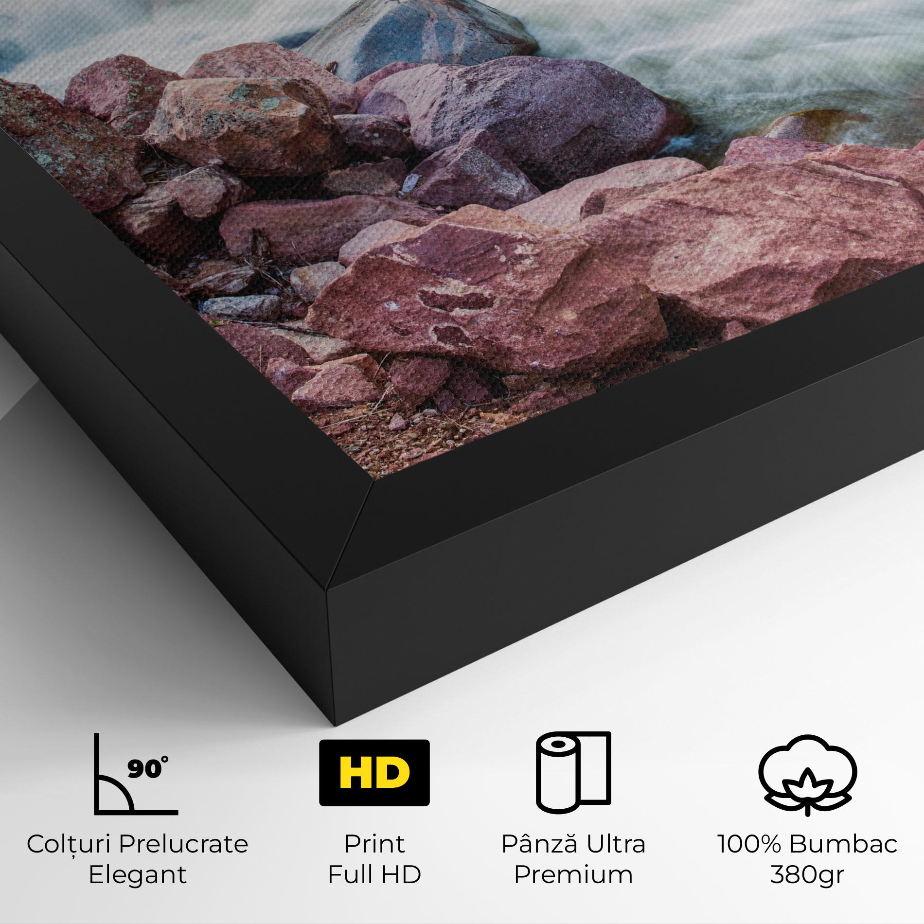 Tablou Canvas Spring Water Rocks mockup 4