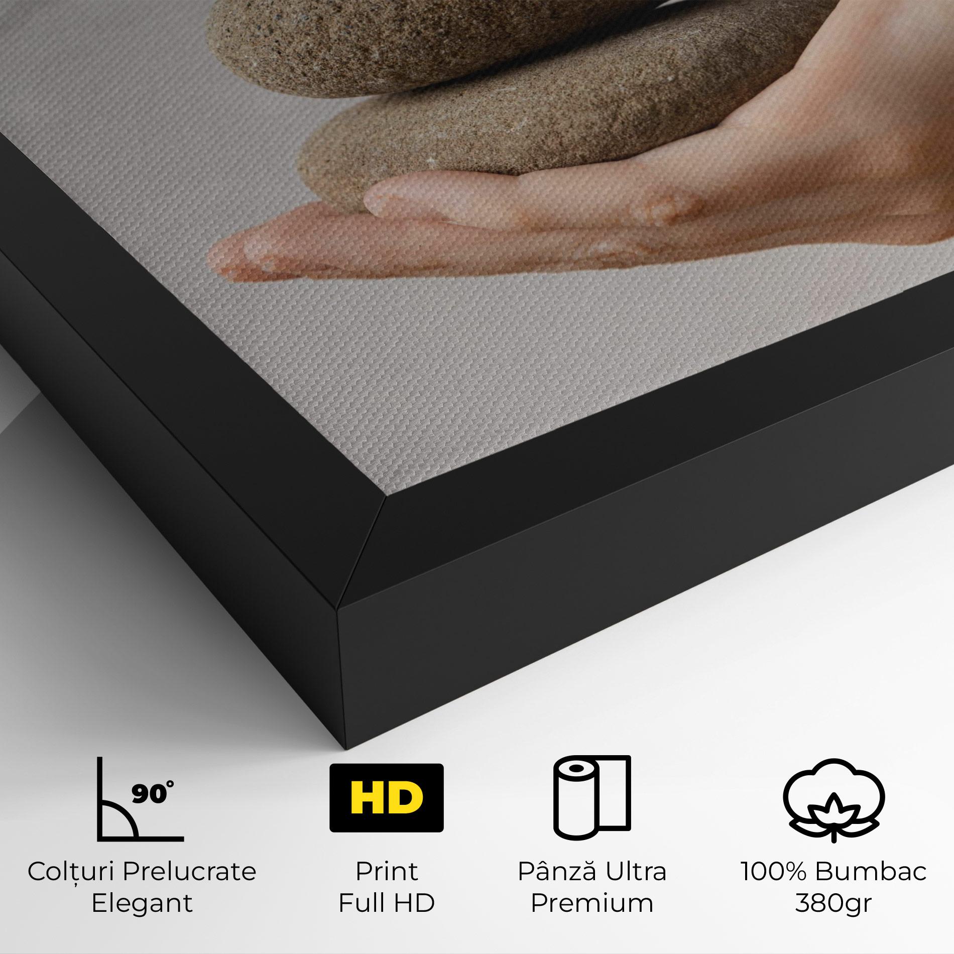 Tablou Canvas Stones Meditation mockup 4