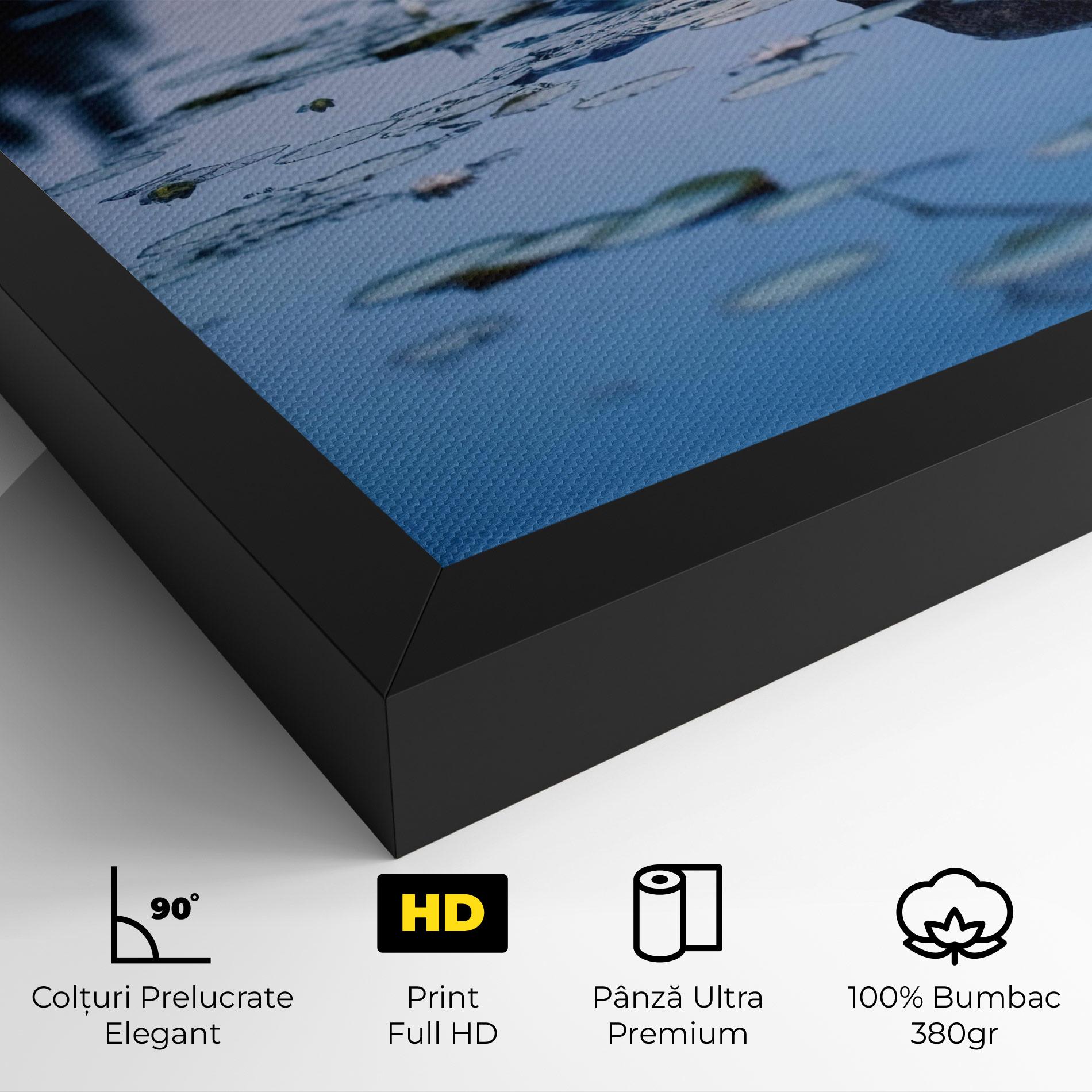 Tablou Canvas Water Stones mockup 4