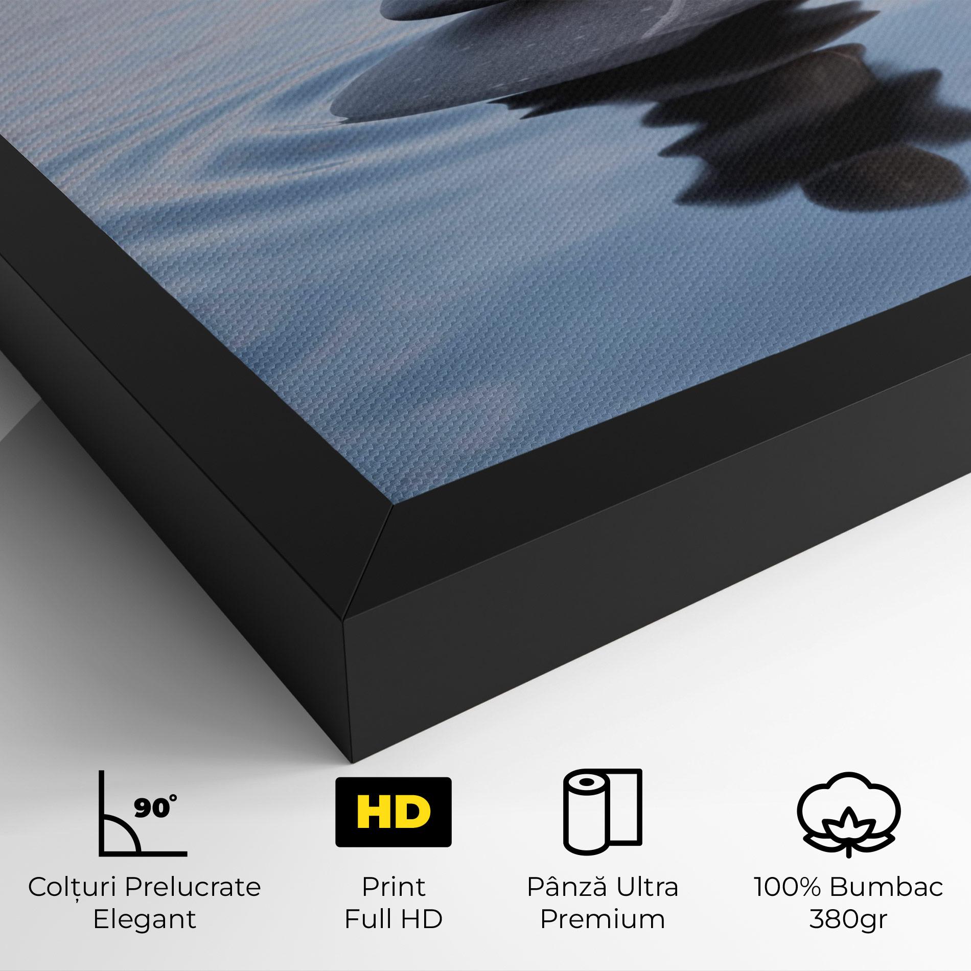 Tablou Canvas Zen Rock mockup 4
