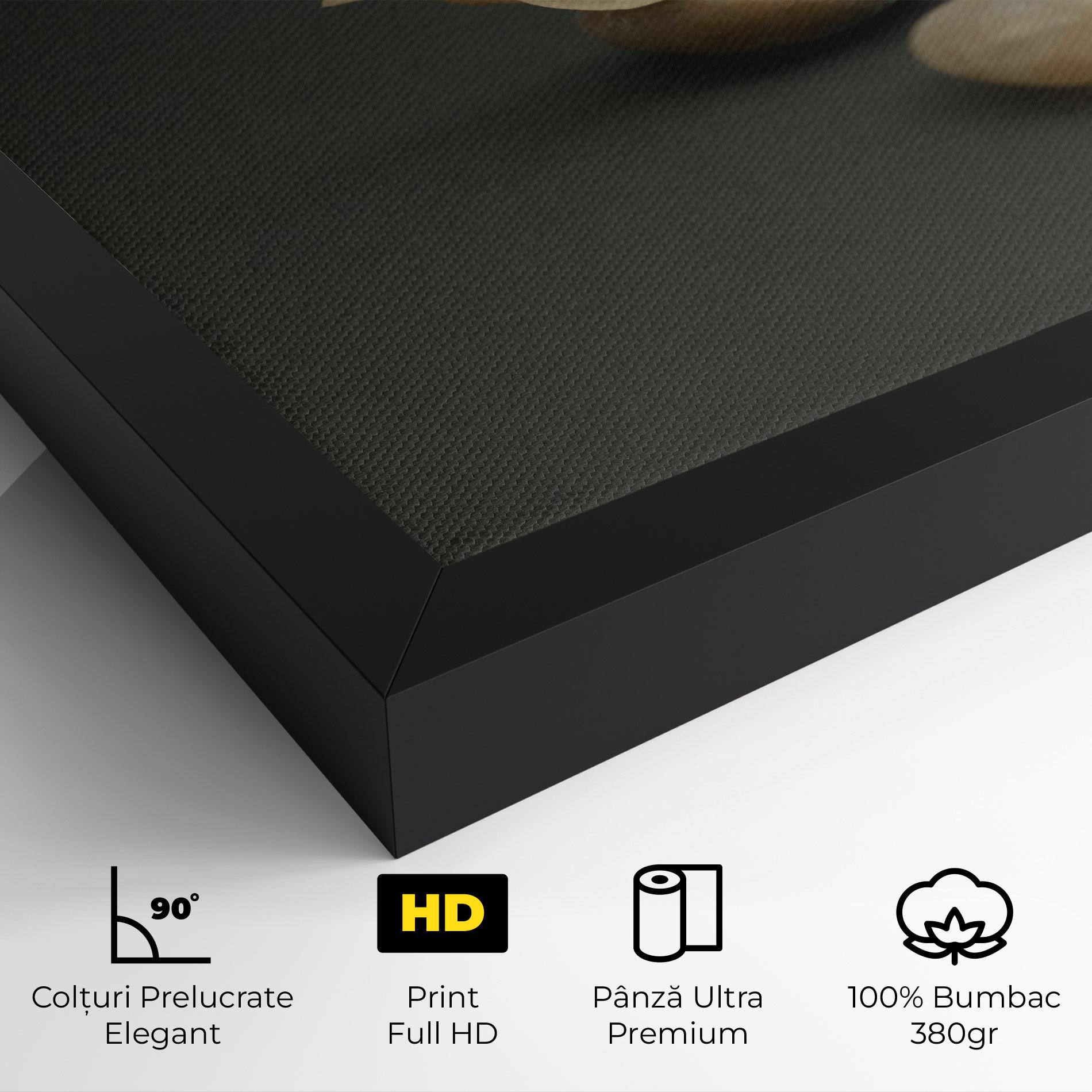Tablou Canvas Zen Stones On Green mockup 4