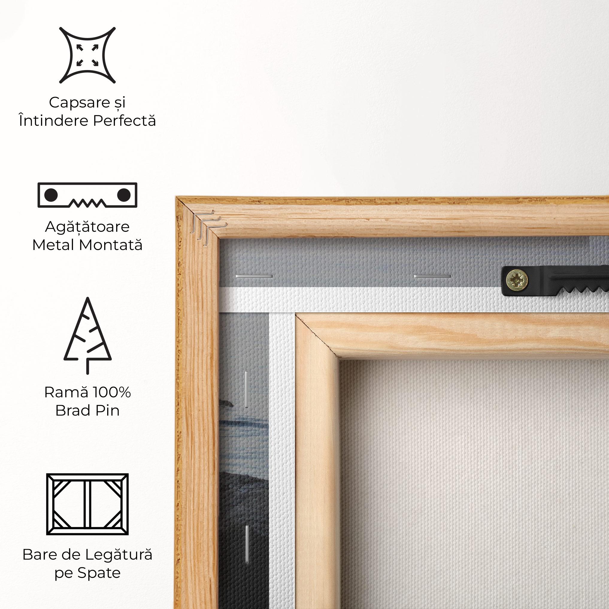 Tablou Canvas Calm Water Stones mockup 5