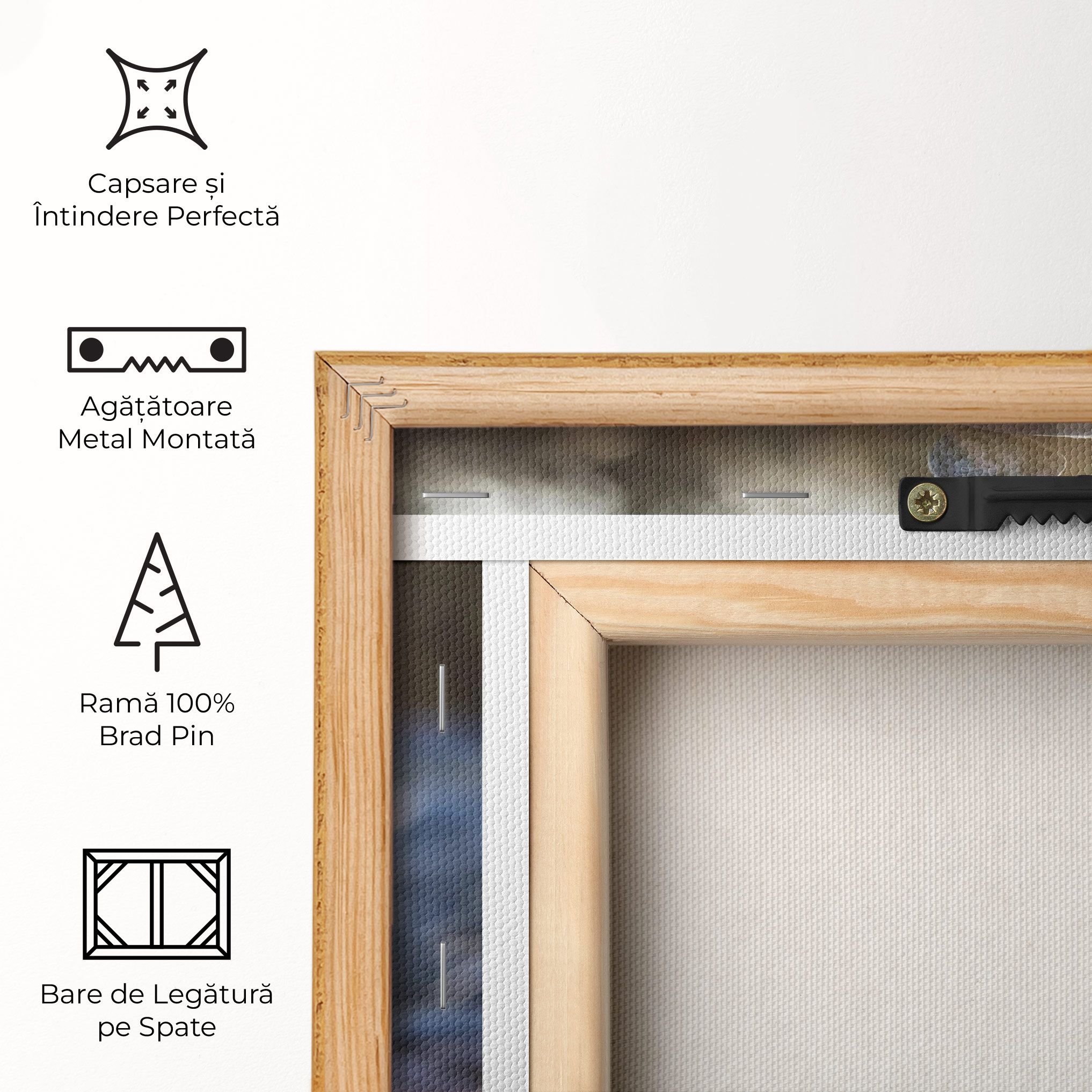 Closeup Shot Rocks mockup 5