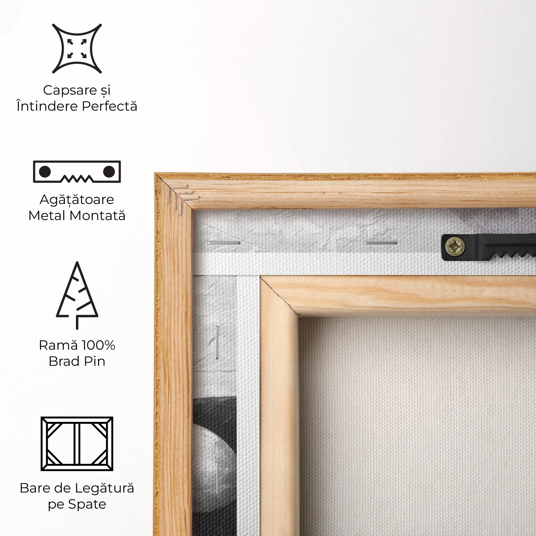 Tablou Canvas Eggs Stone mockup 5