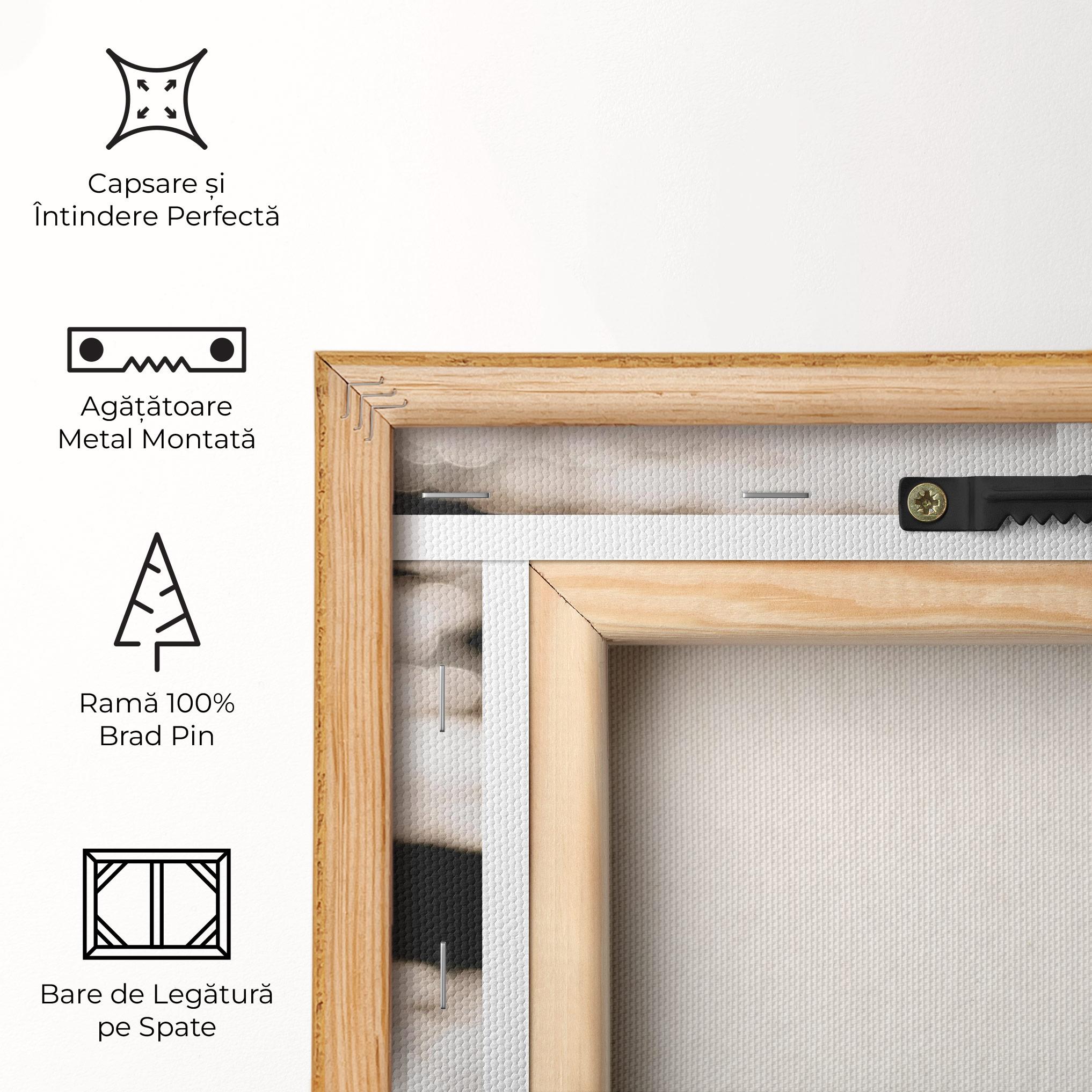 Tablou Canvas Pyramid Stones mockup 5