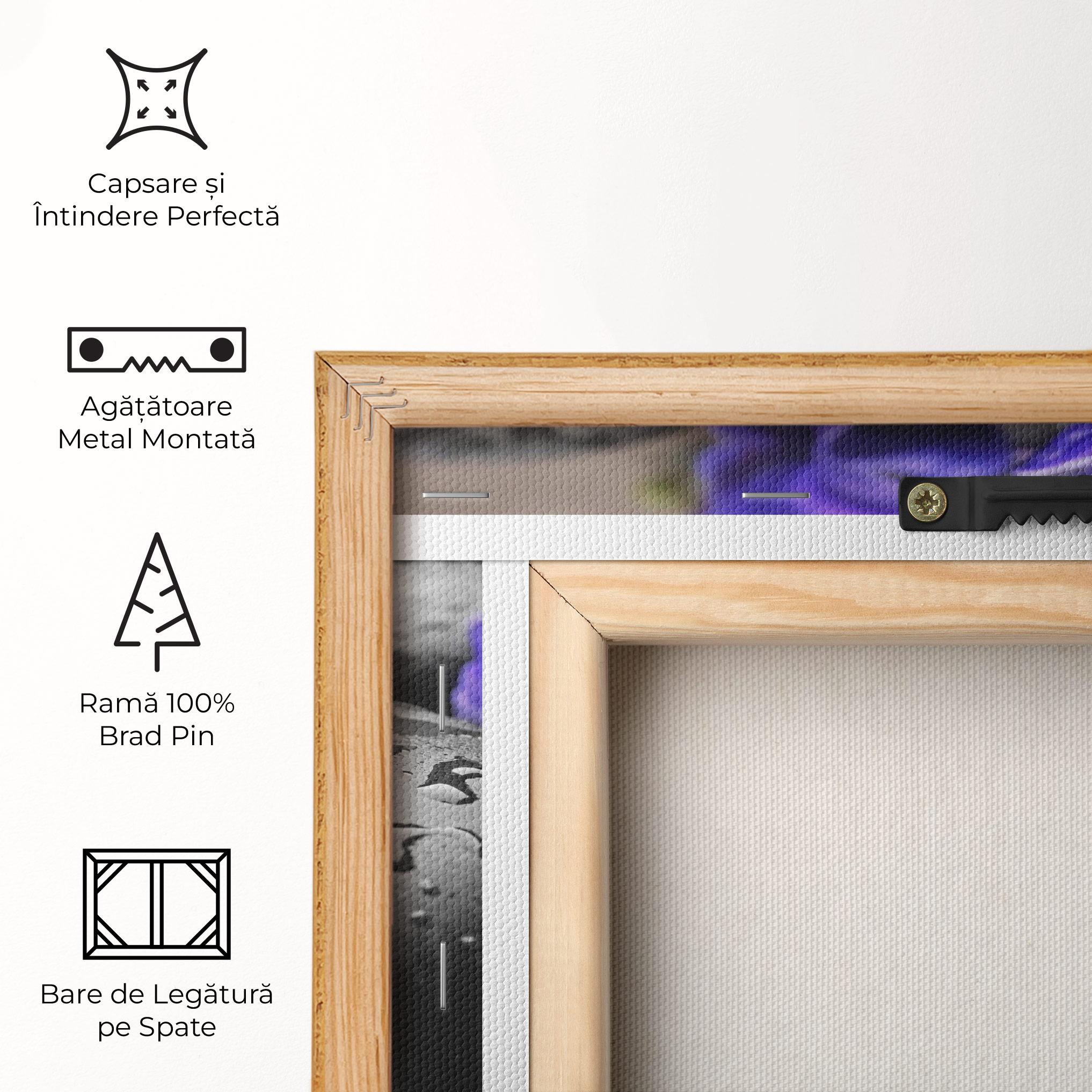 Tablou Canvas Spa Purple Rock mockup 5