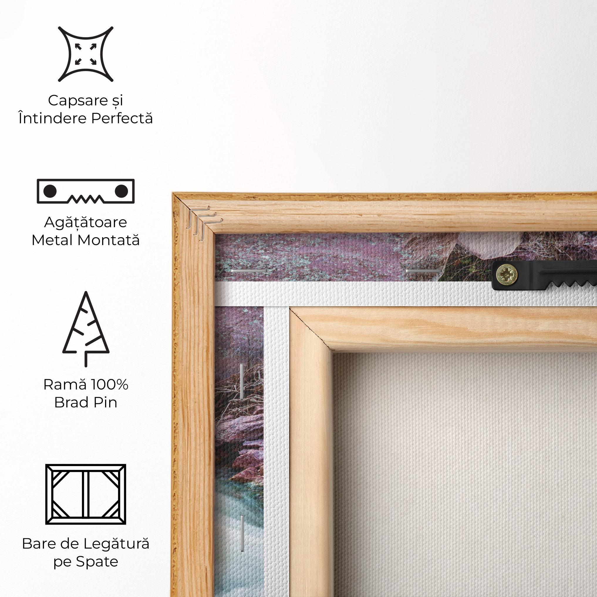 Tablou Canvas Spring Water Rocks mockup 5