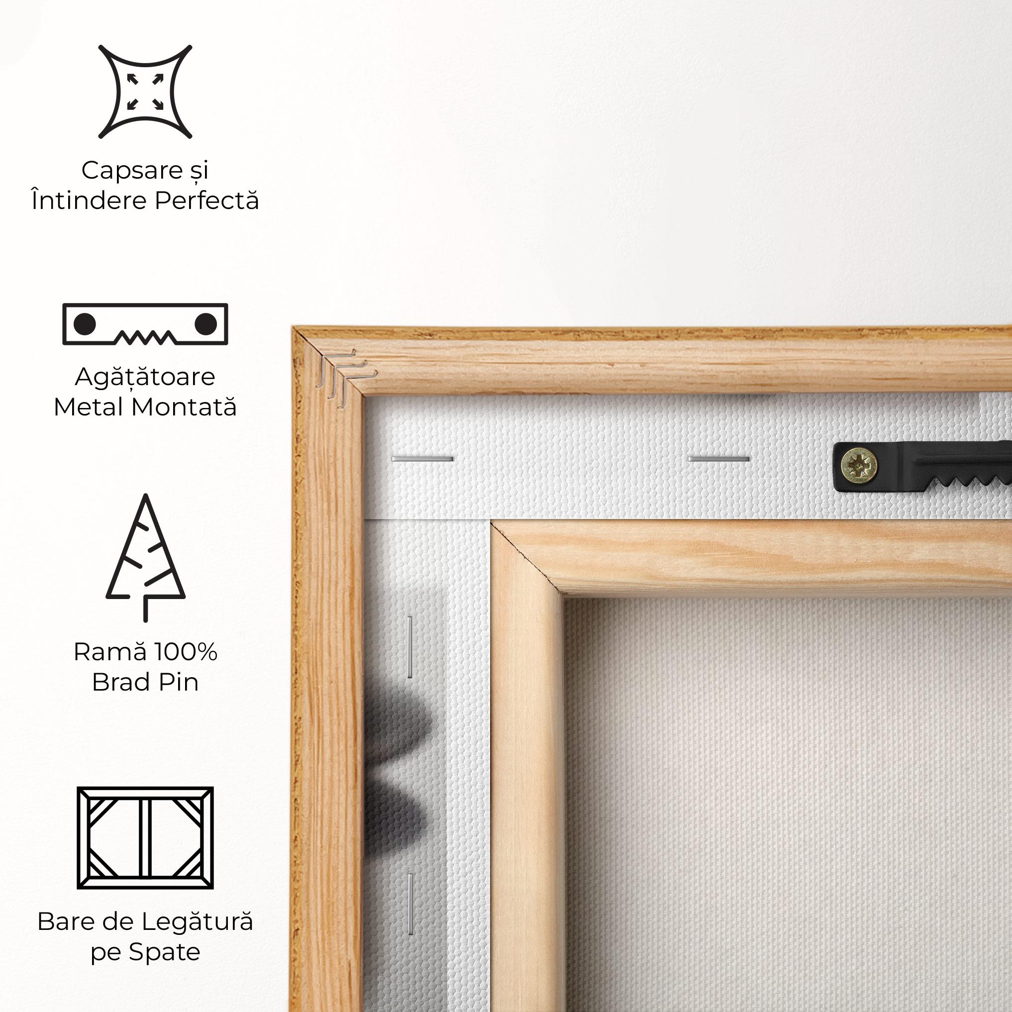 Tablou Canvas Stone Orange Flower mockup 5