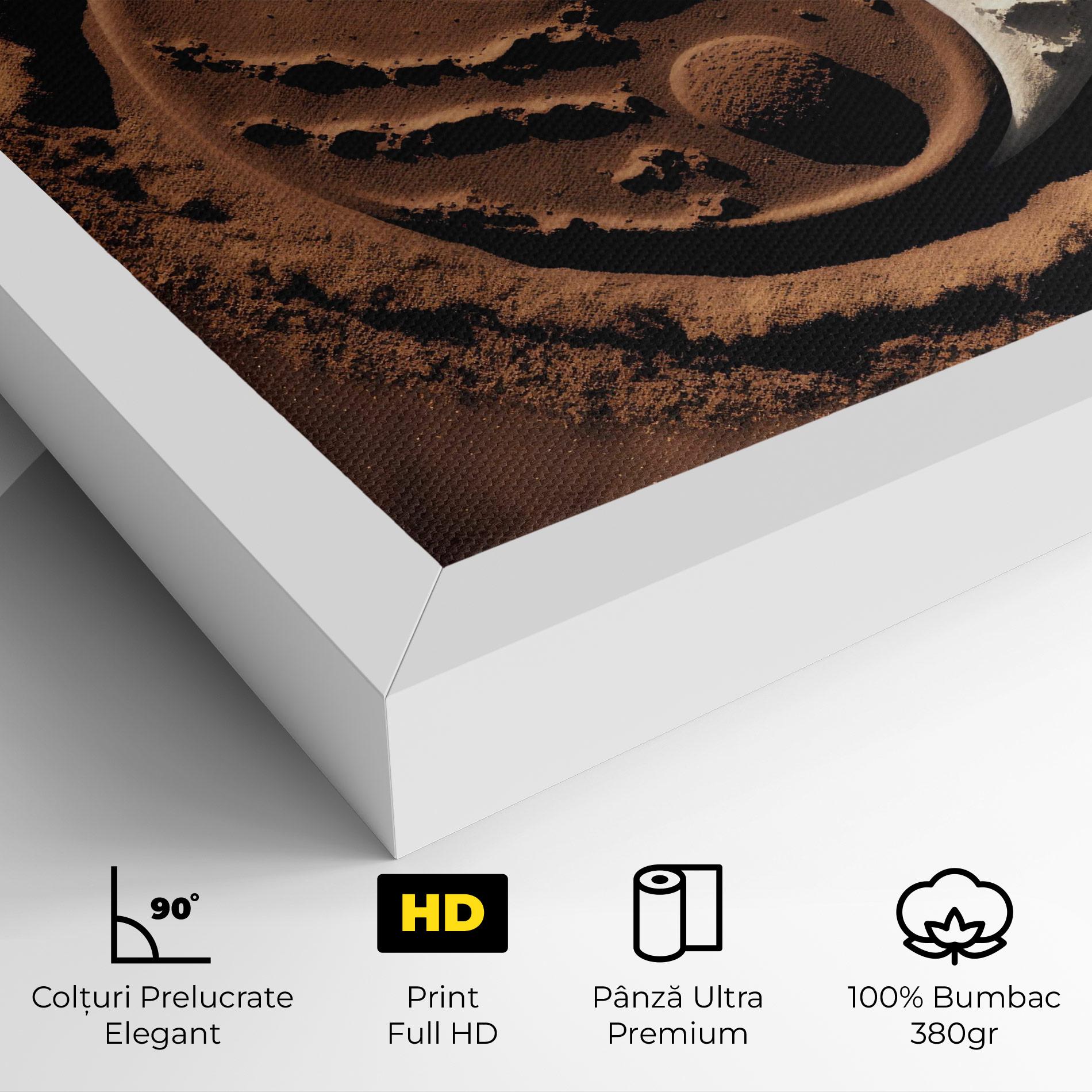 Tablou Canvas Earth Yinyang mockup 4