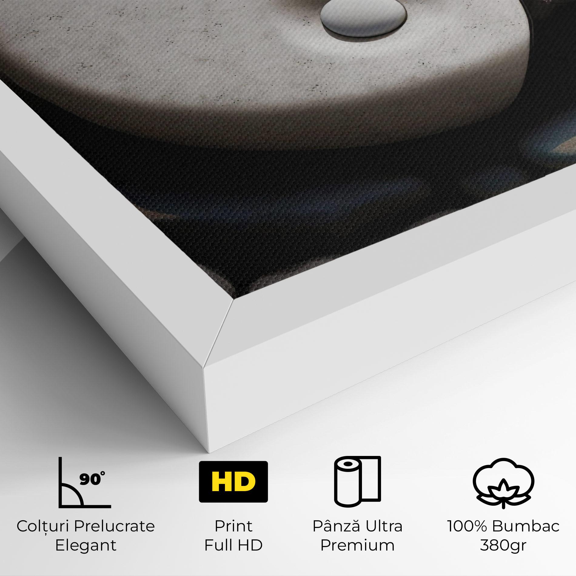 Tablou Canvas Stone Yinyang mockup 4