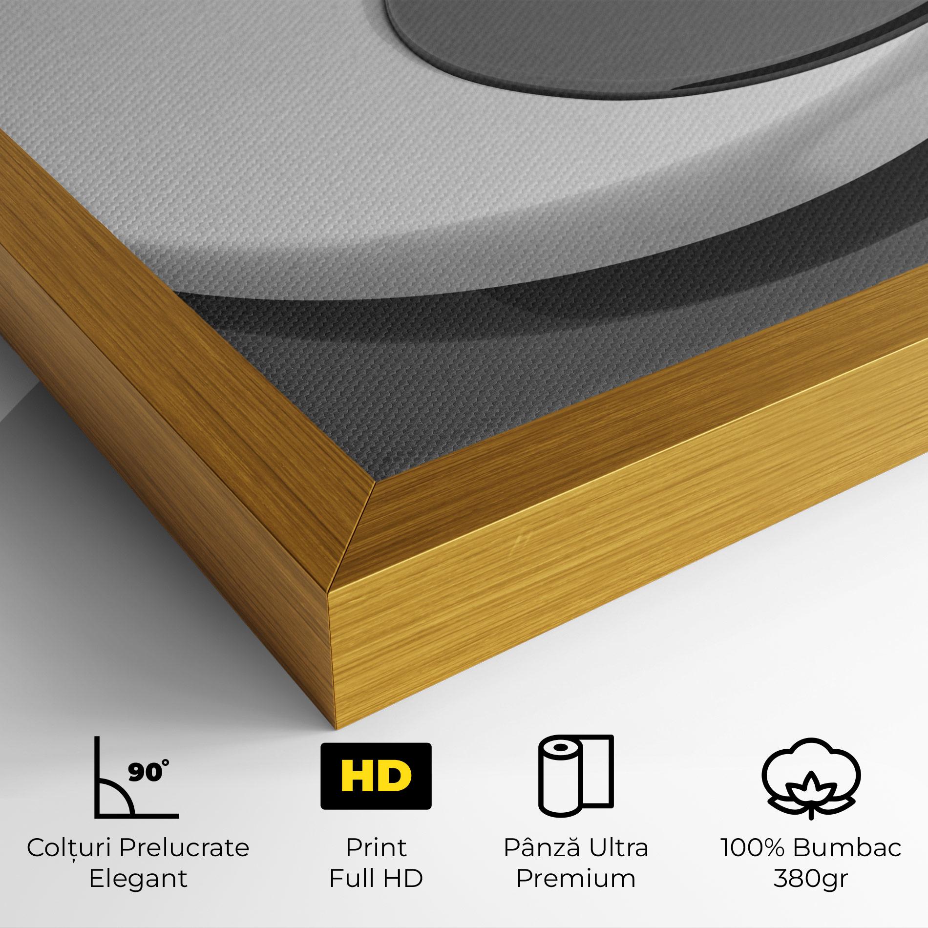 Tablou Canvas 3d Yinyang mockup 4