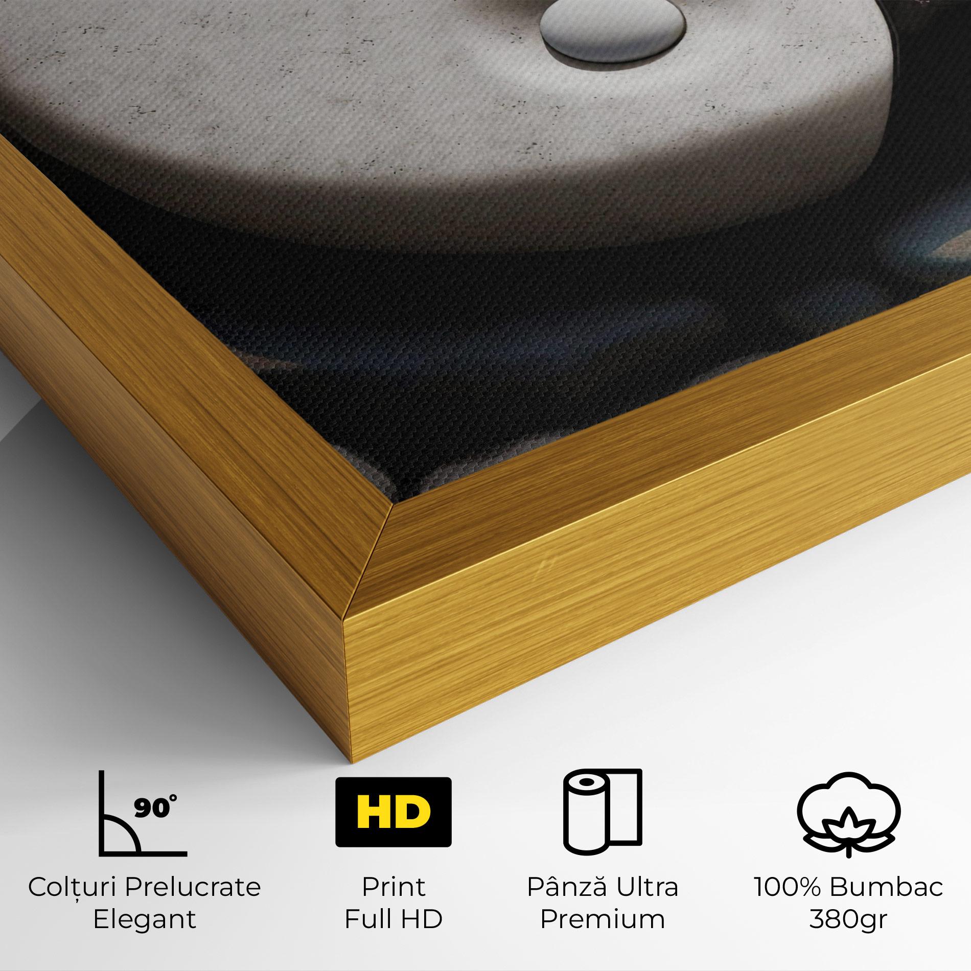 Tablou Canvas Stone Yinyang mockup 4