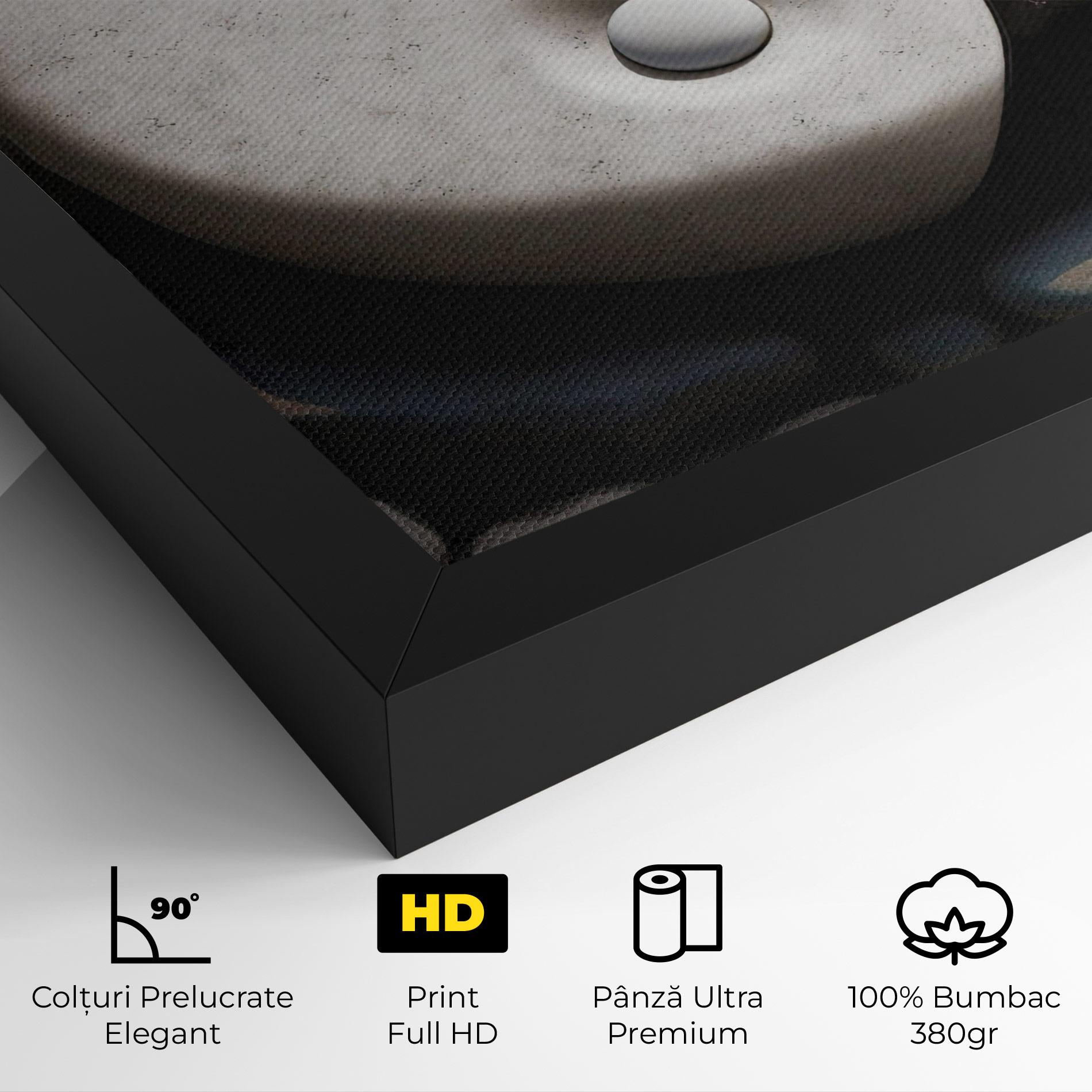Tablou Canvas Stone Yinyang mockup 4