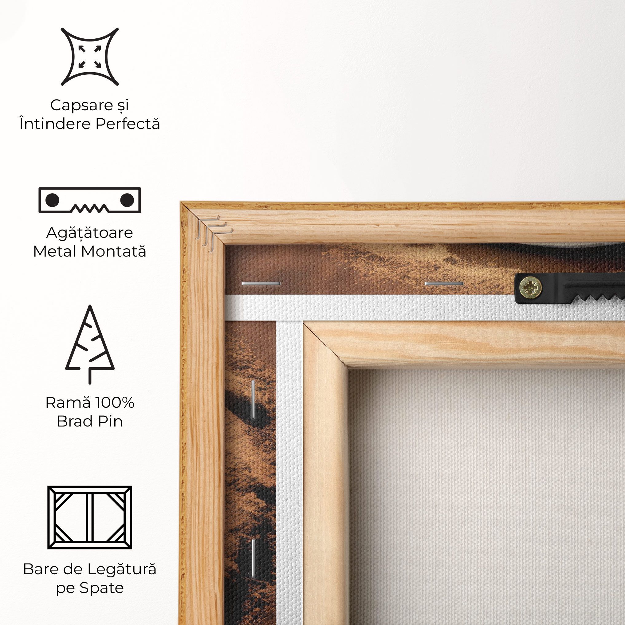 Earth Yinyang mockup 5