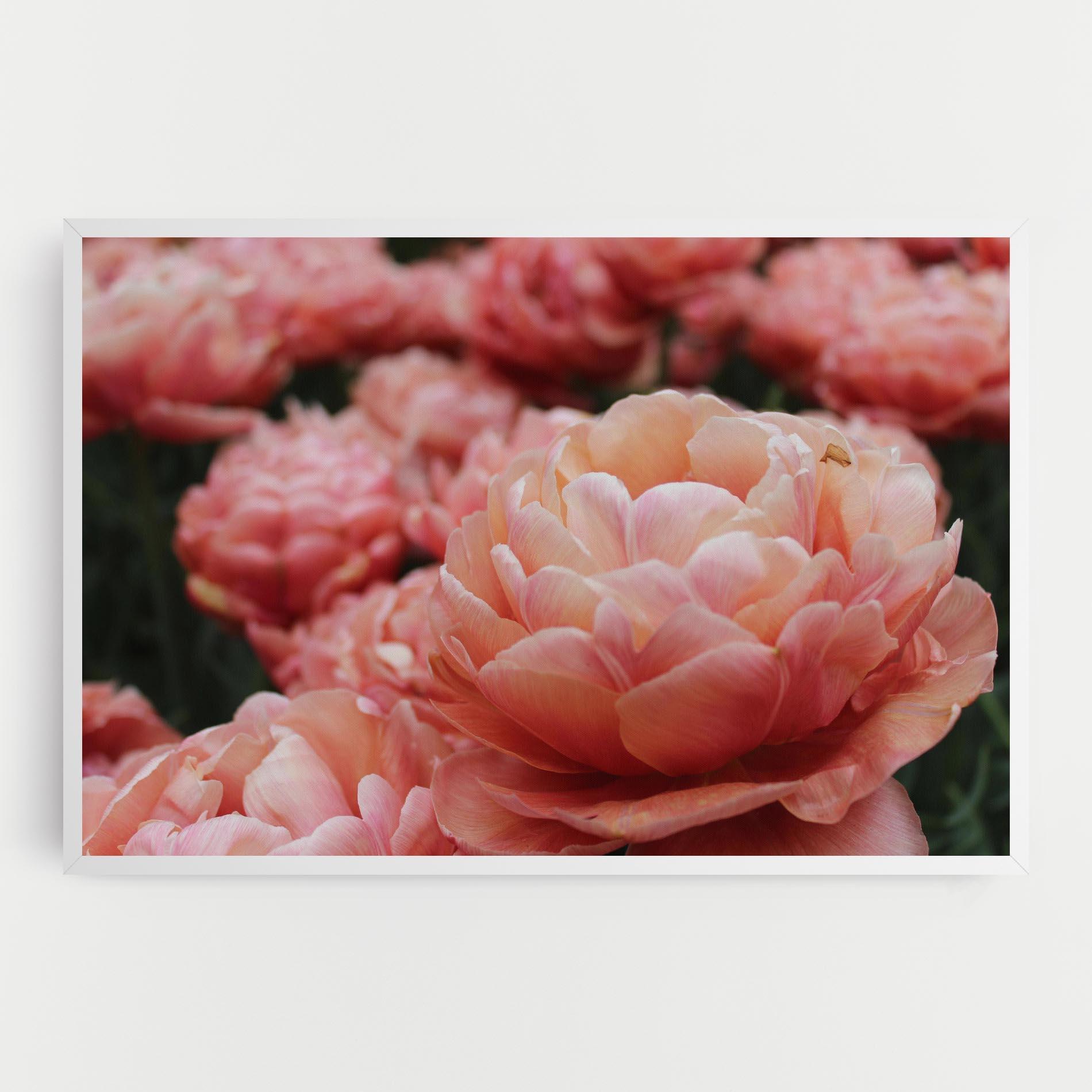 Tablou Canvas Light Orange Peony mockup 0
